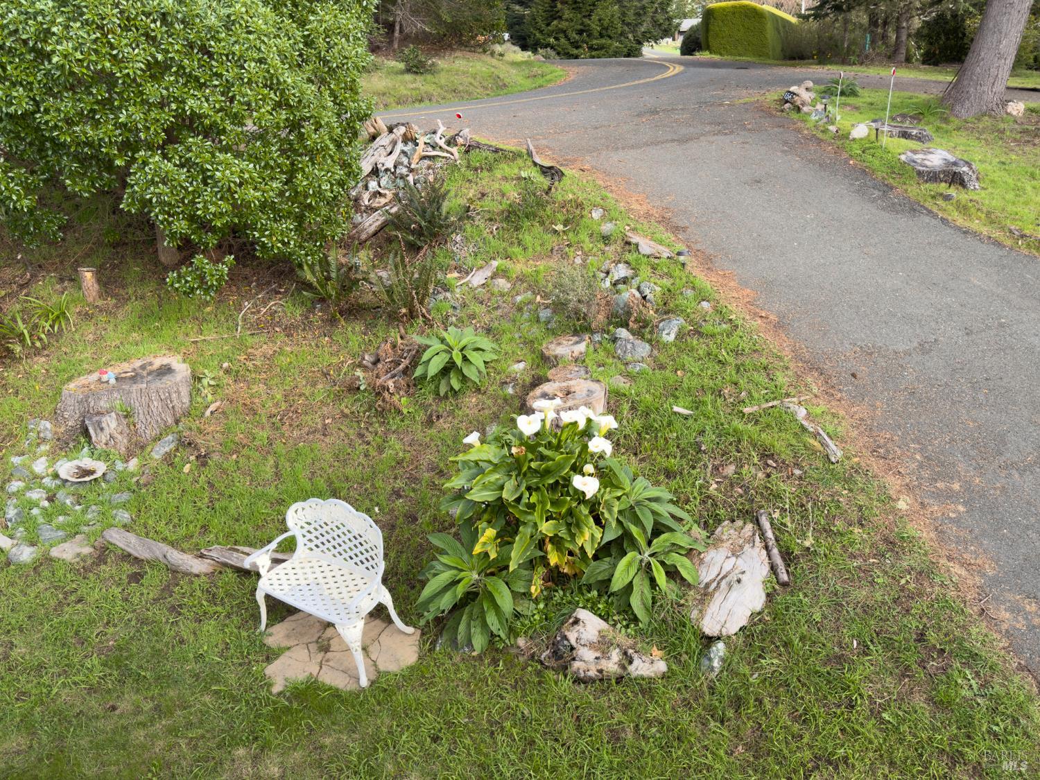 15691 Forest View Road