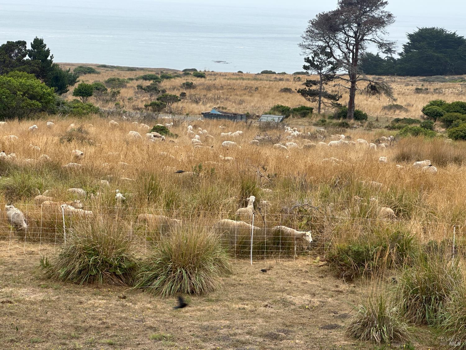 35411 Fly Cloud Road