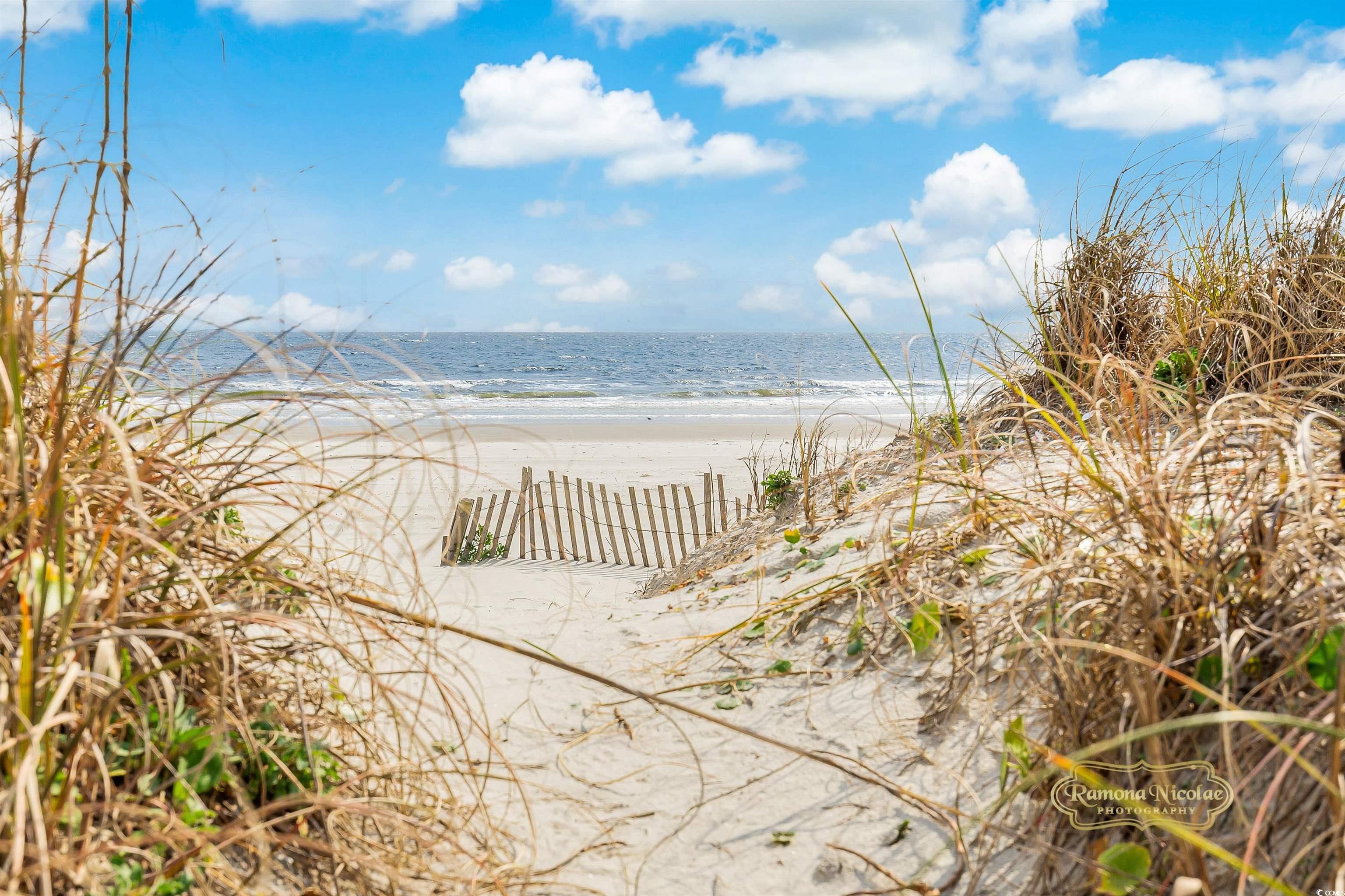 Beach access path through dune grass and a wooden fence leads to the ocean.