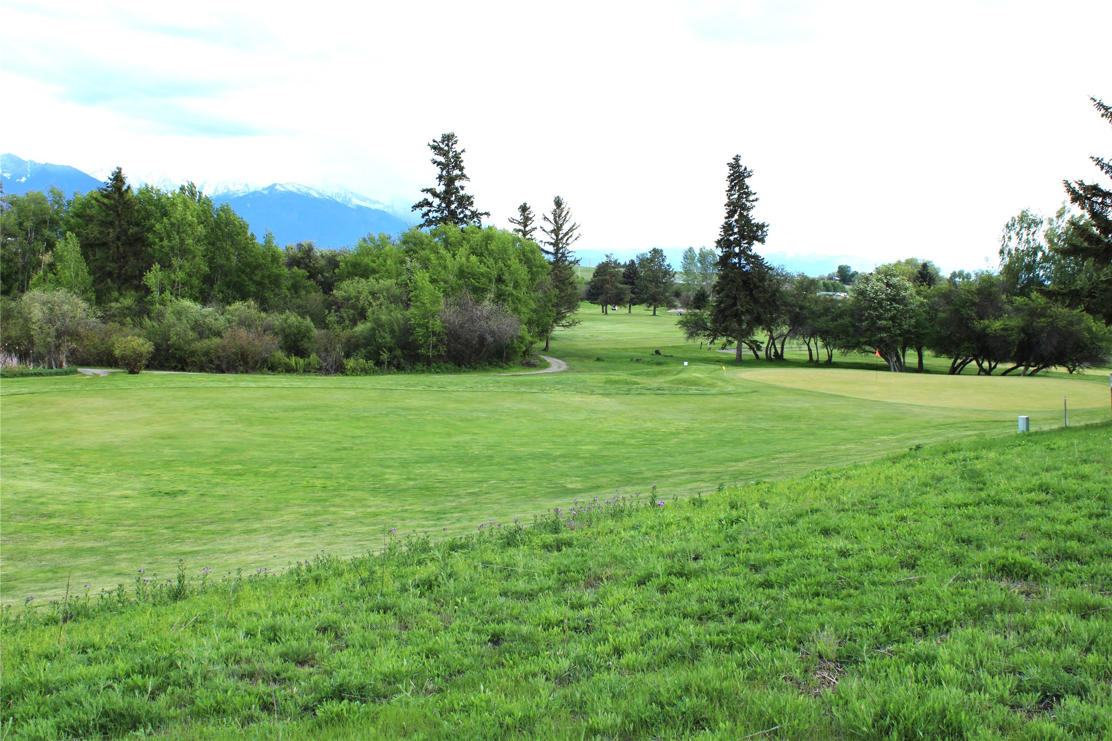 NHN Stage Coach Trail