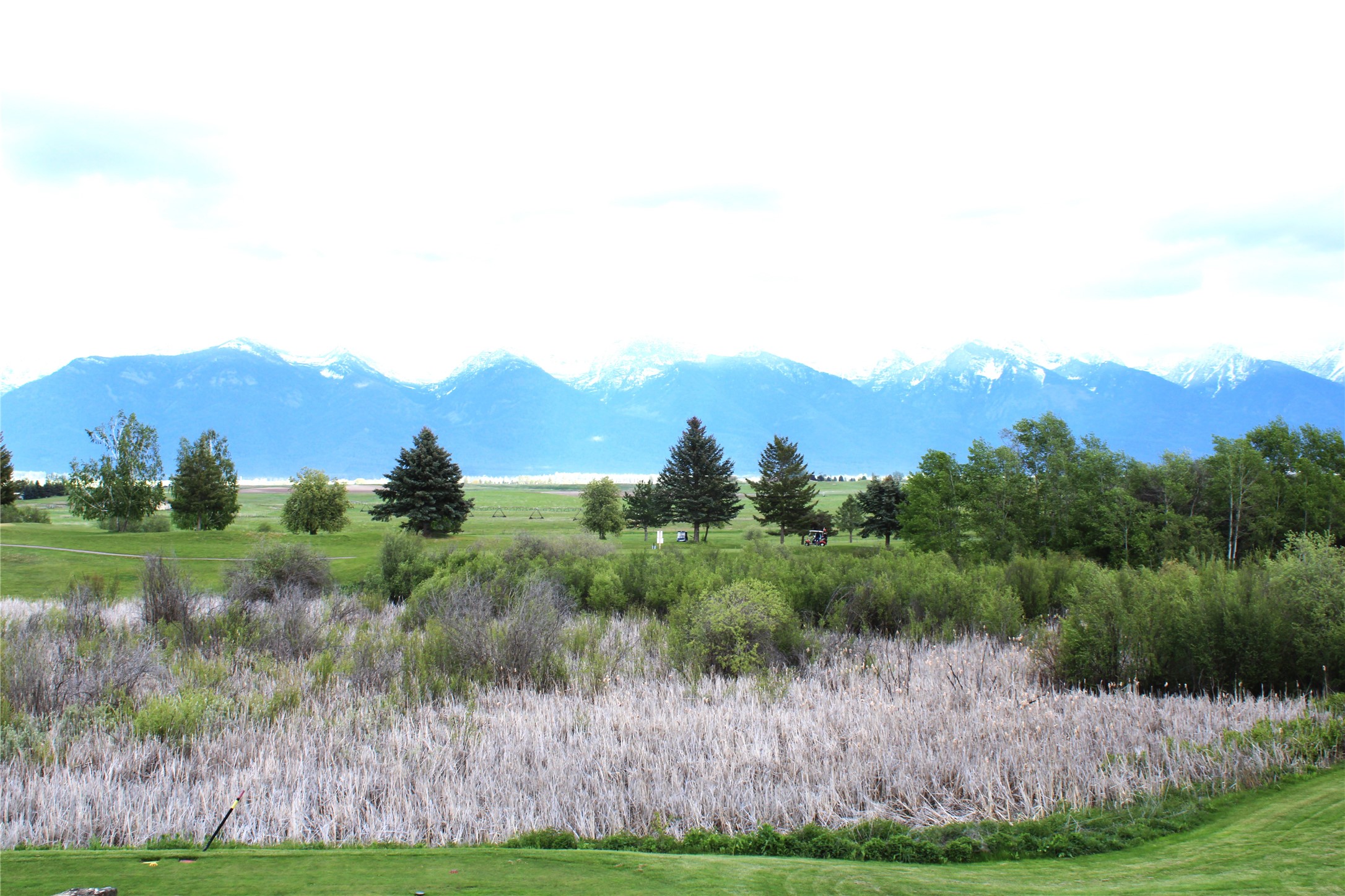 NHN Stage Coach Trail