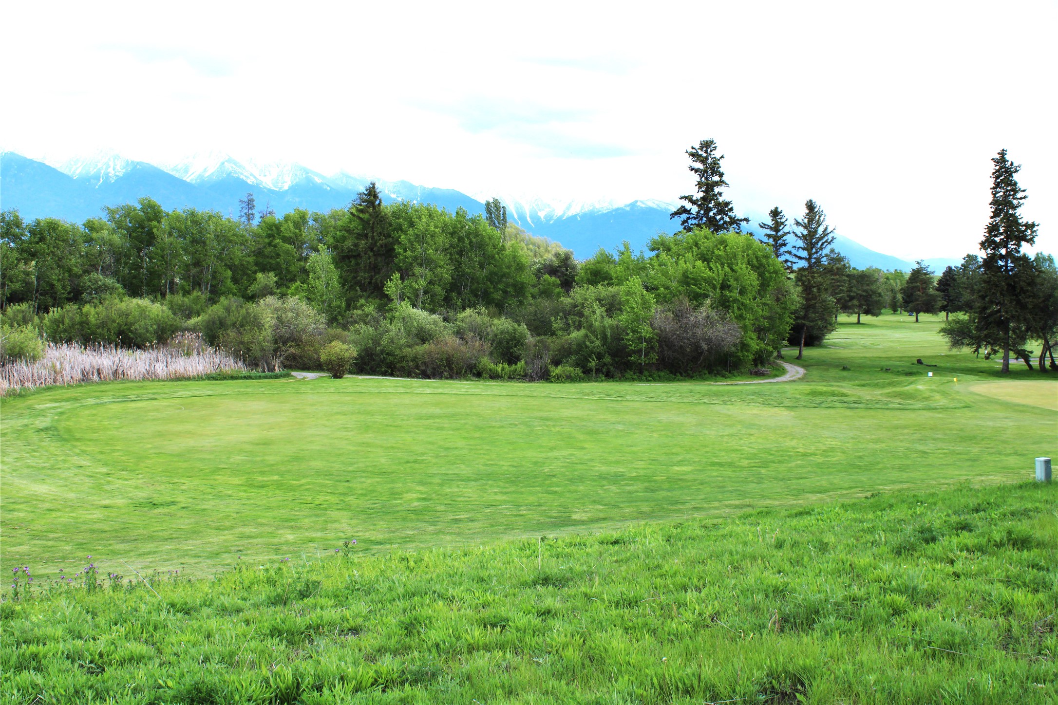 NHN Stage Coach Trail