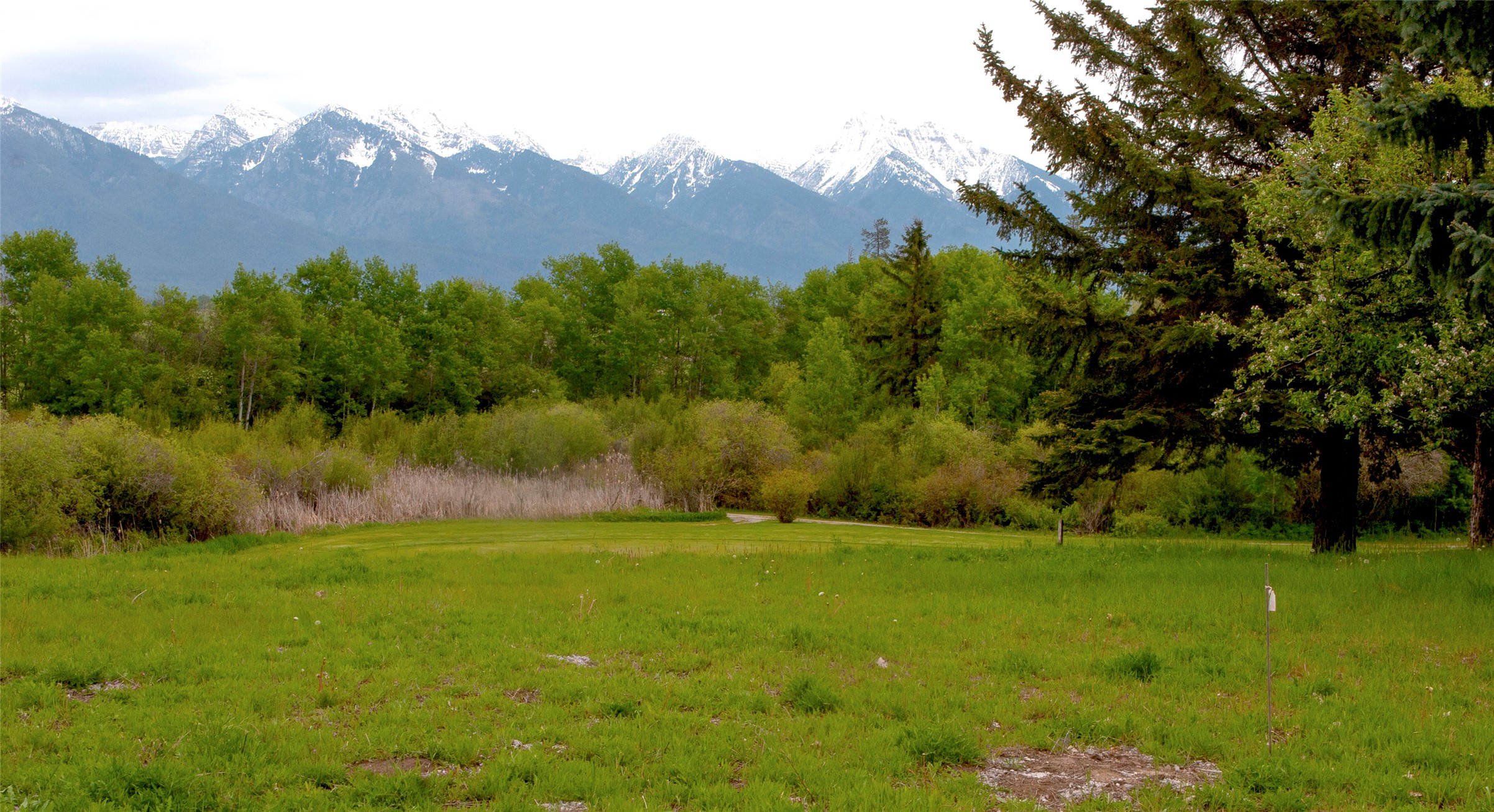 NHN Stage Coach Trail