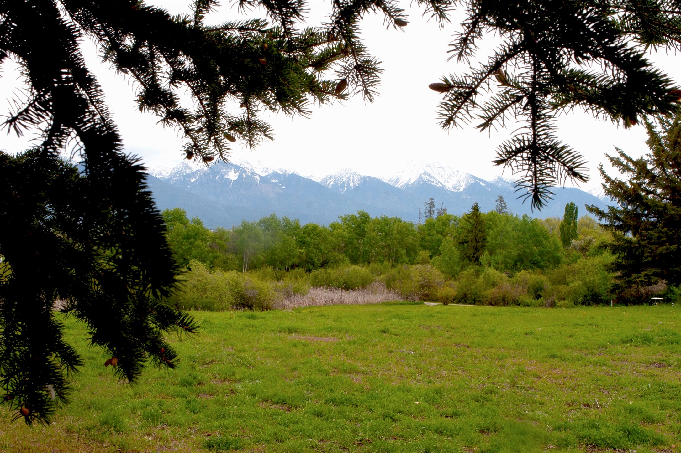 NHN Stage Coach Trail