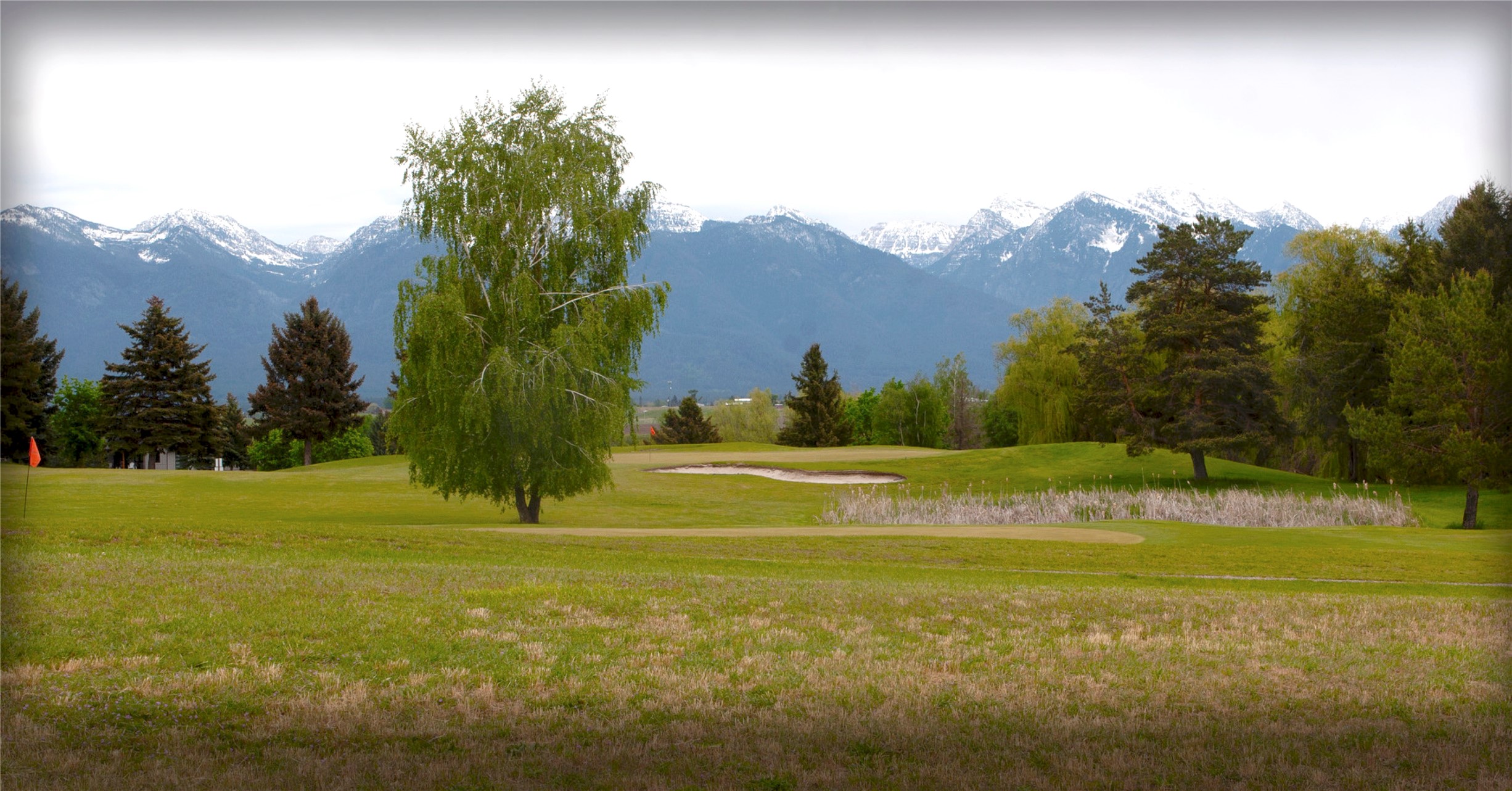 NHN Stage Coach Trail