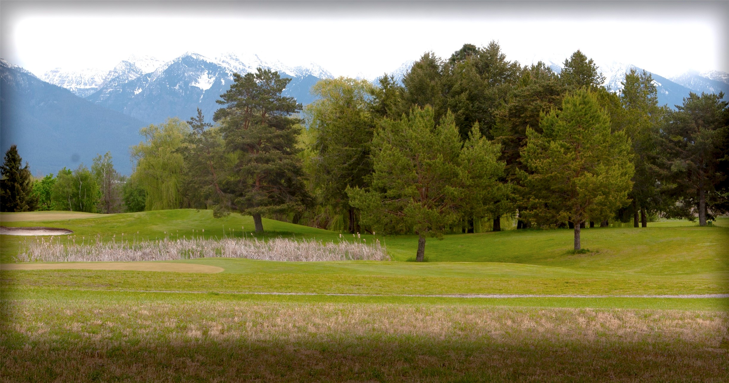 NHN Stage Coach Trail