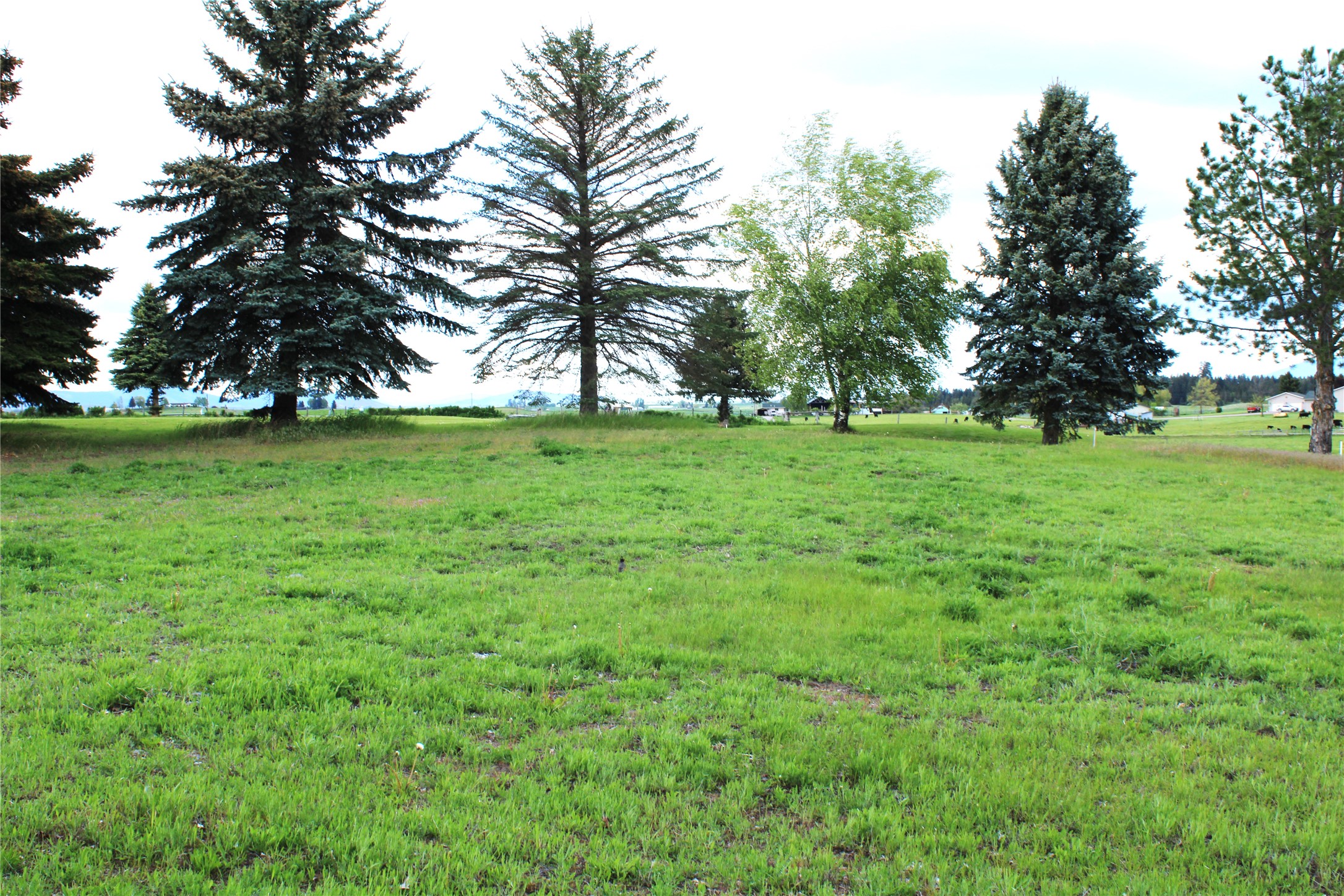 NHN Stage Coach Trail