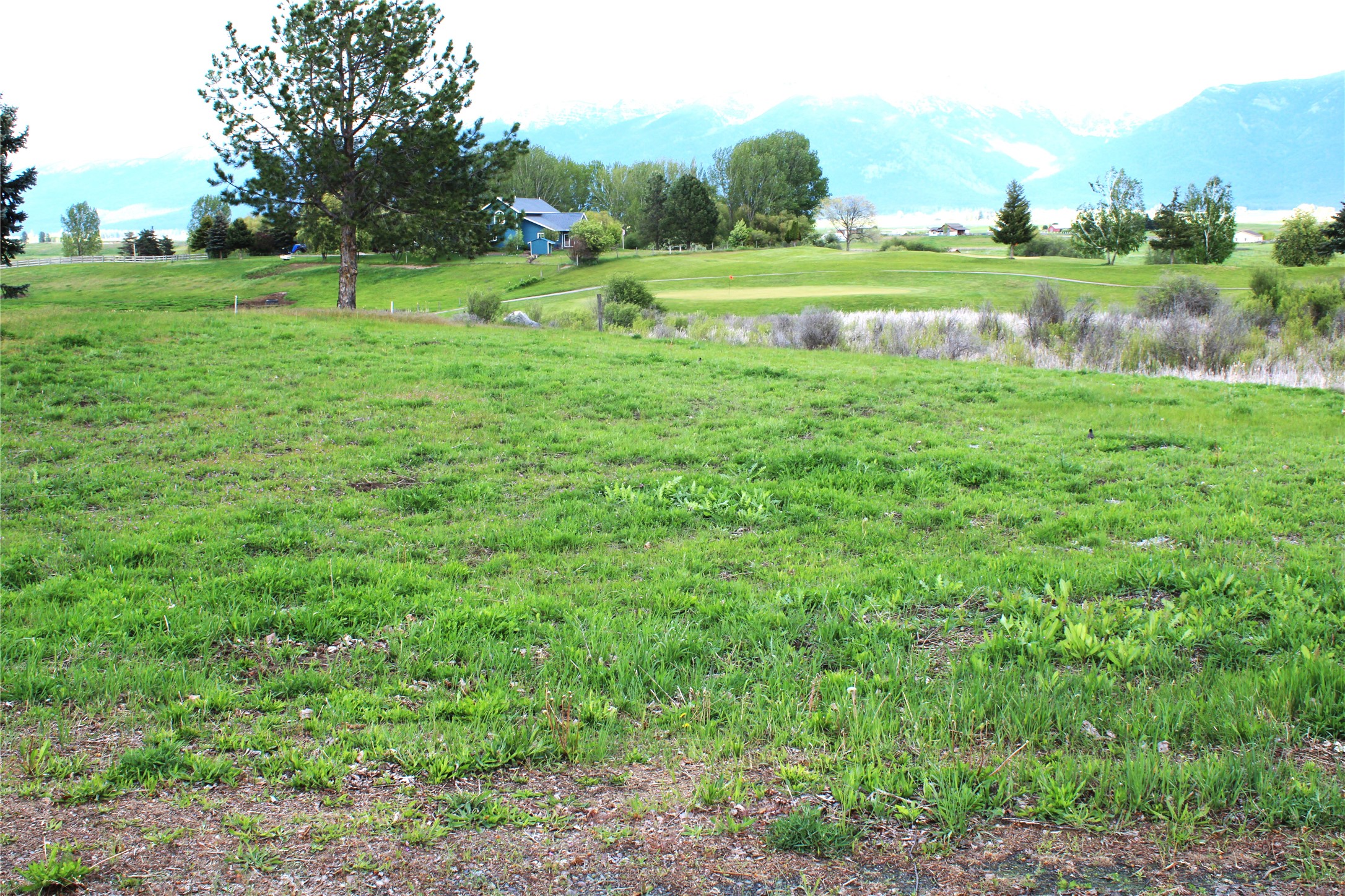 NHN Stage Coach Trail