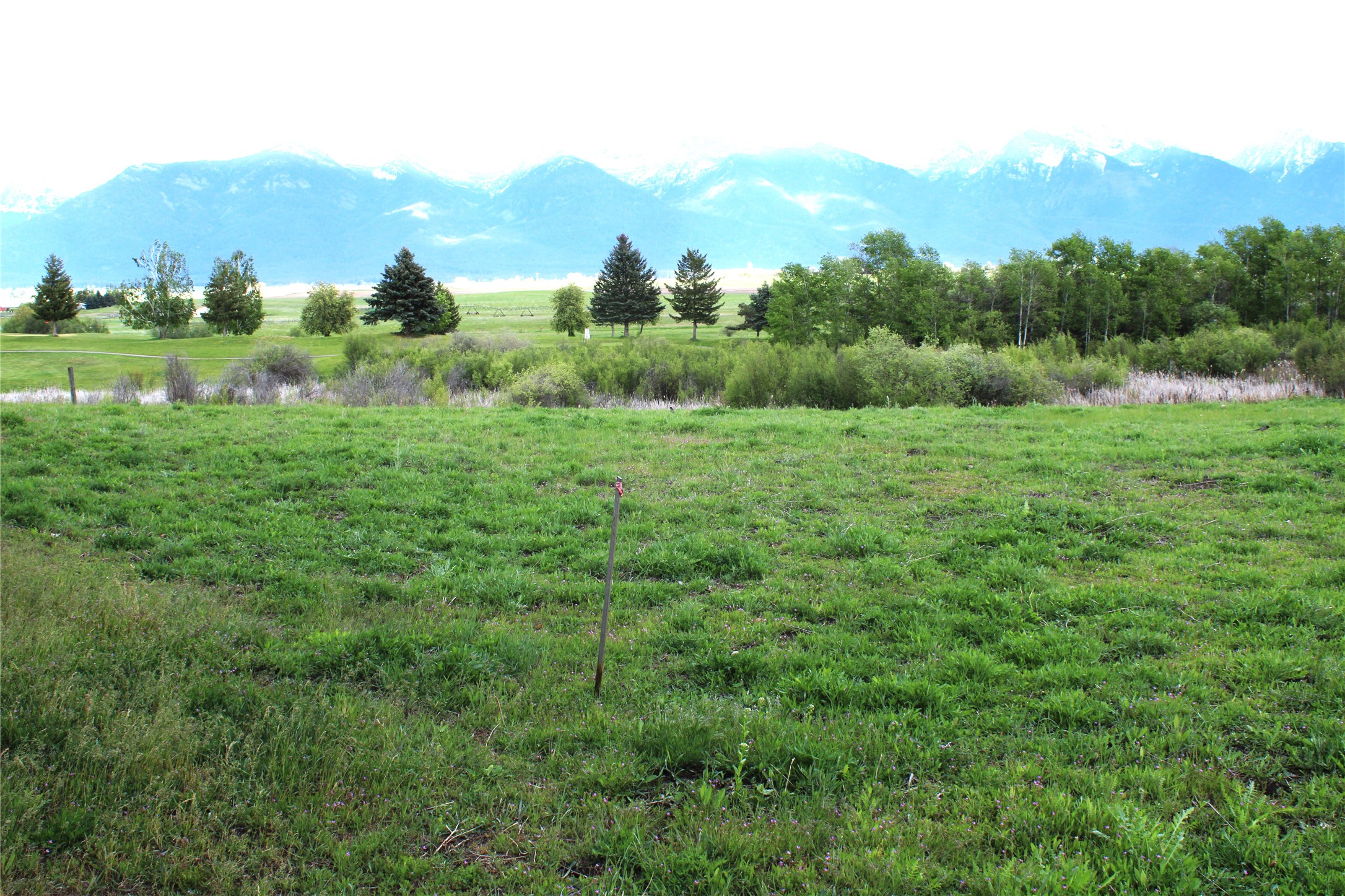 NHN Stage Coach Trail