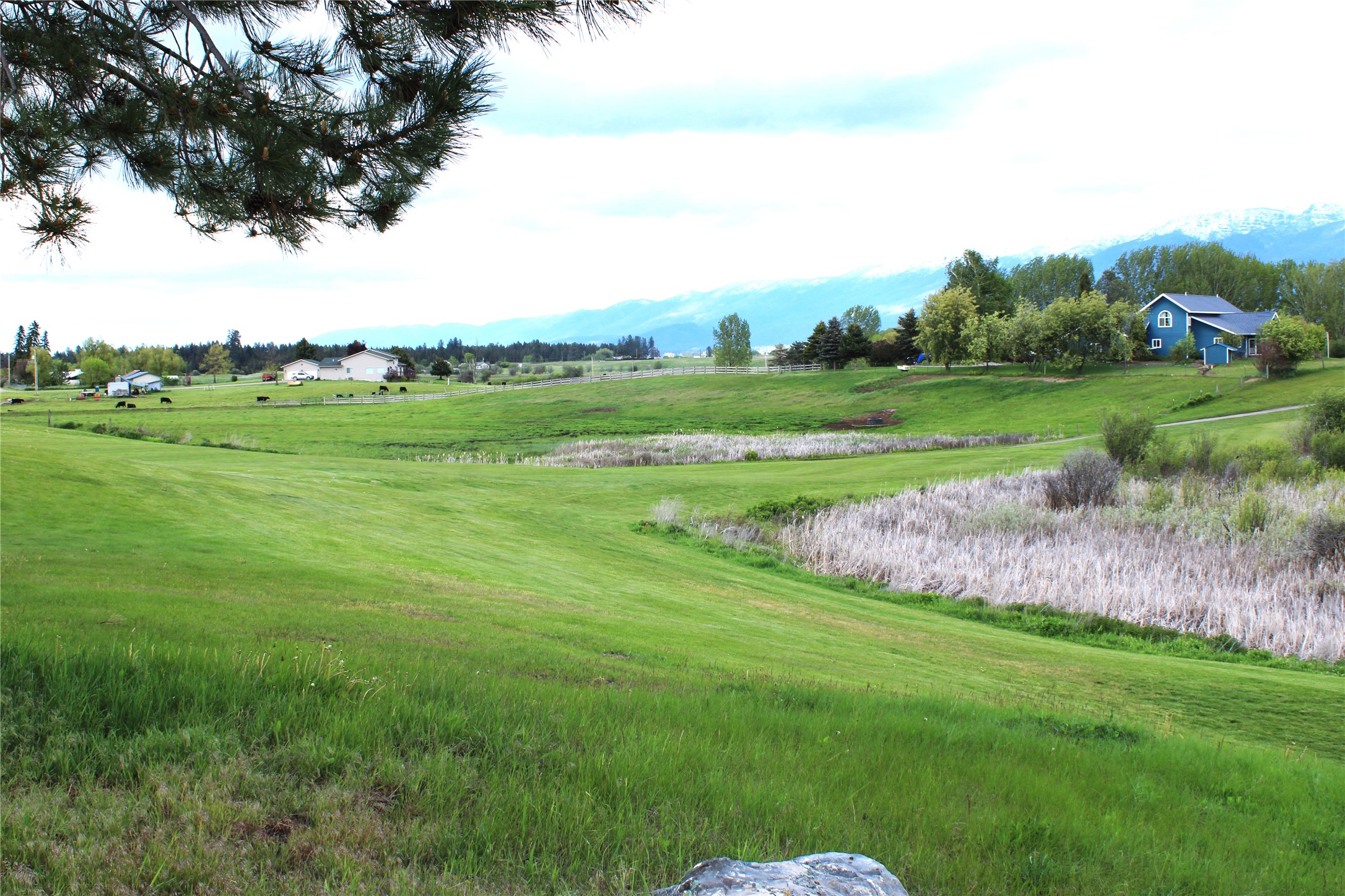 NHN Stage Coach Trail