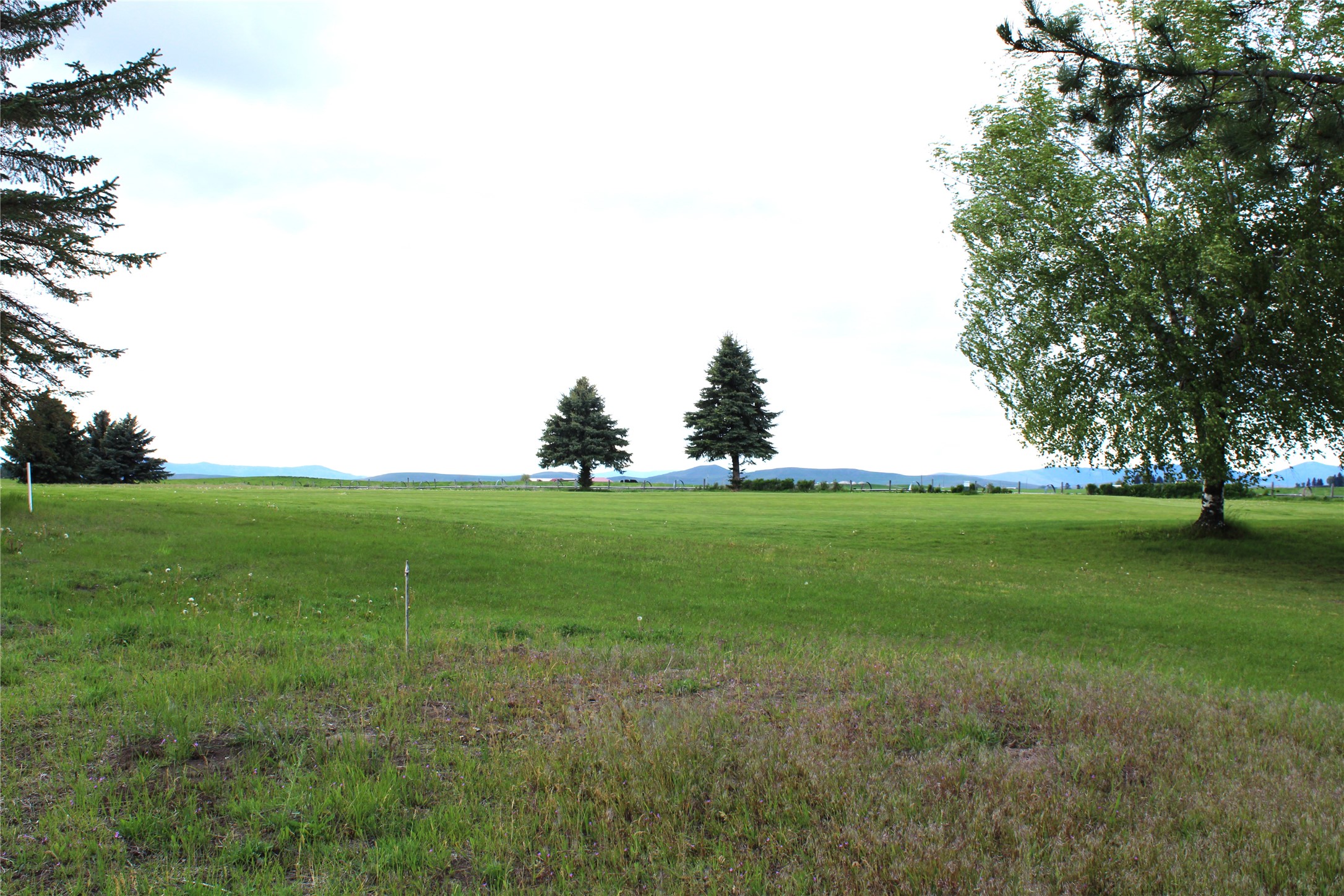 NHN Stage Coach Trail