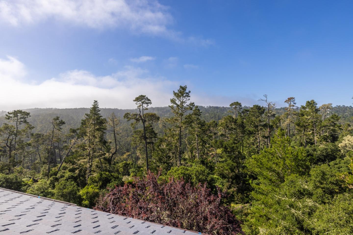 24308 San Juan RD