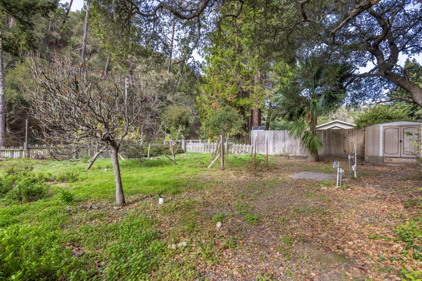 Wooded backyard with mature trees, fenced boundaries, and two storage sheds.