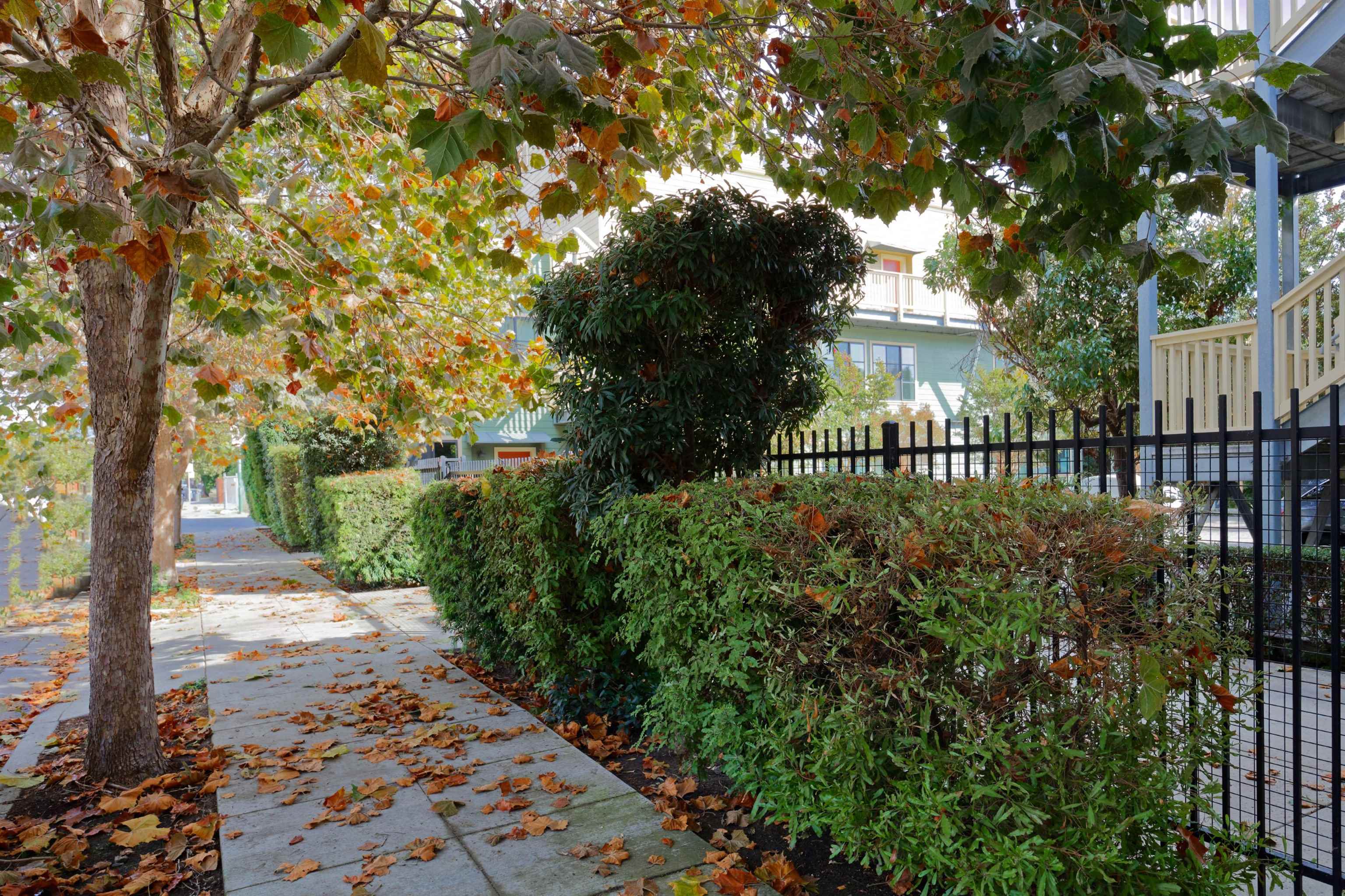 1565 32nd Street # 4