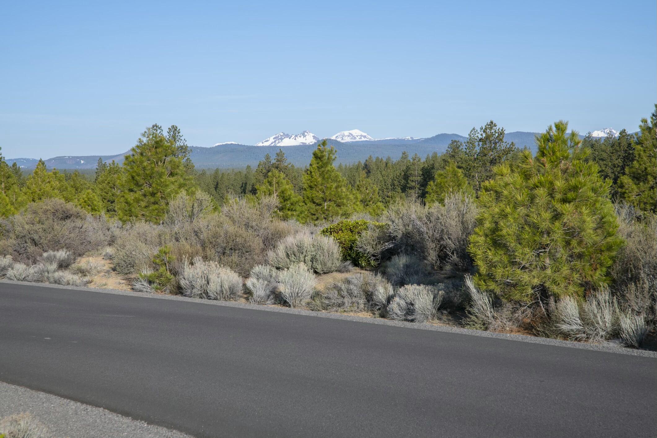 18715 Macalpine Loop, 37