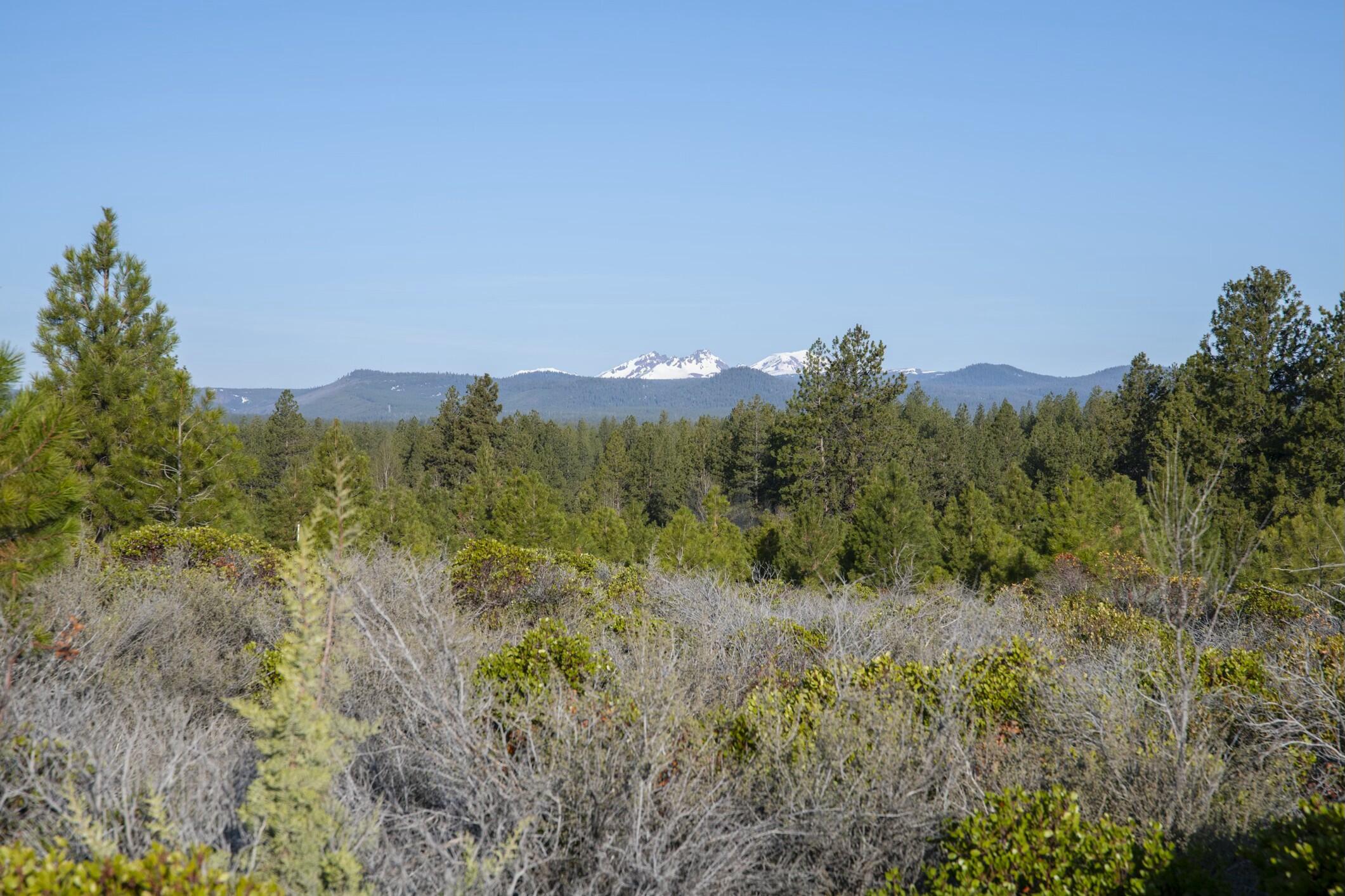 18715 Macalpine Loop, 37