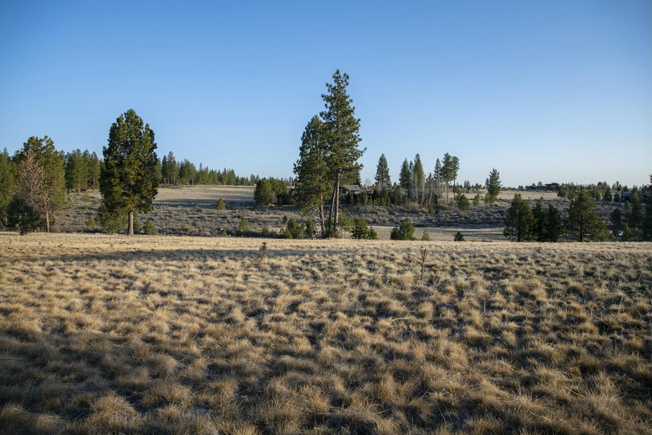 18715 Macalpine Loop, 37