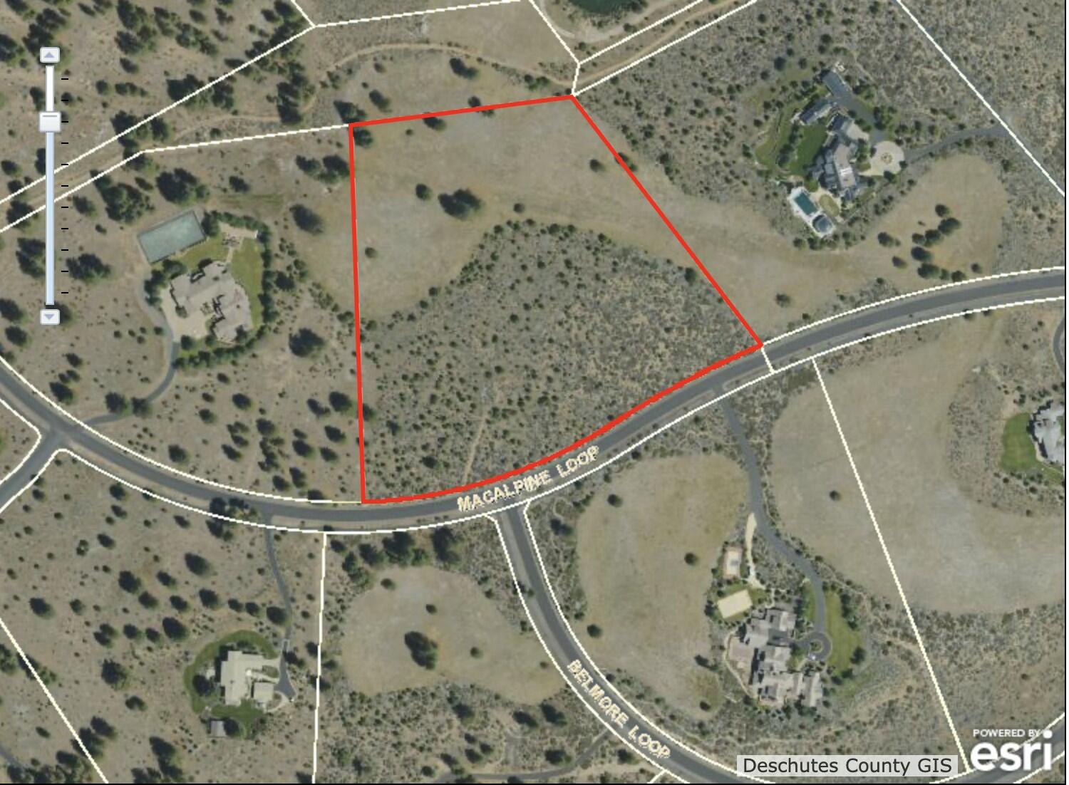 18715 Macalpine Loop, 37