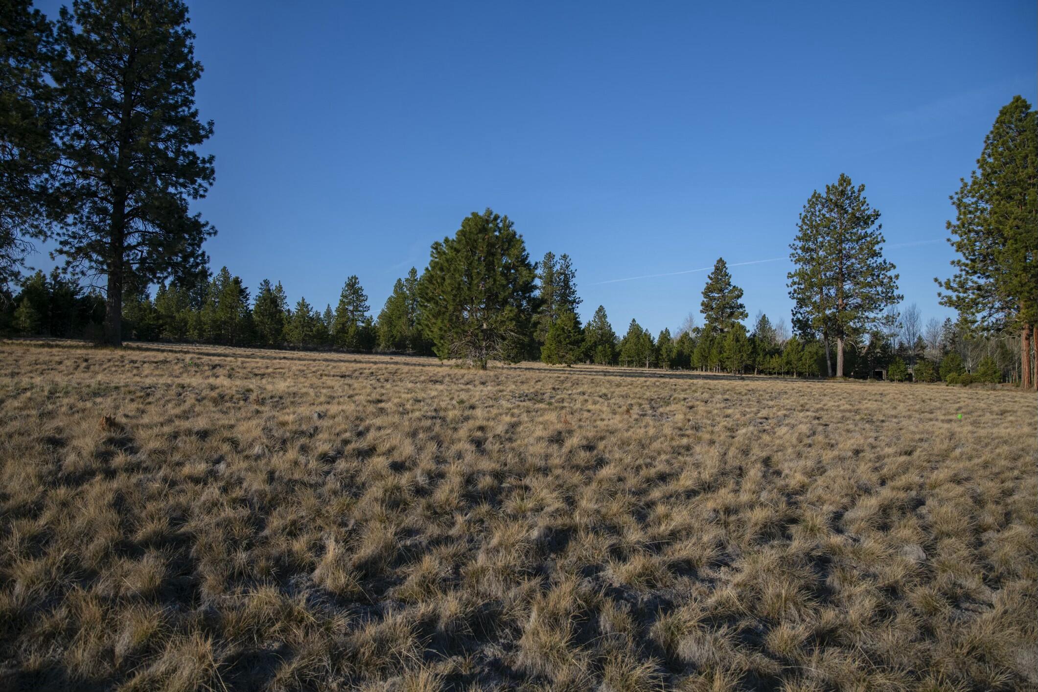 18715 Macalpine Loop, 37