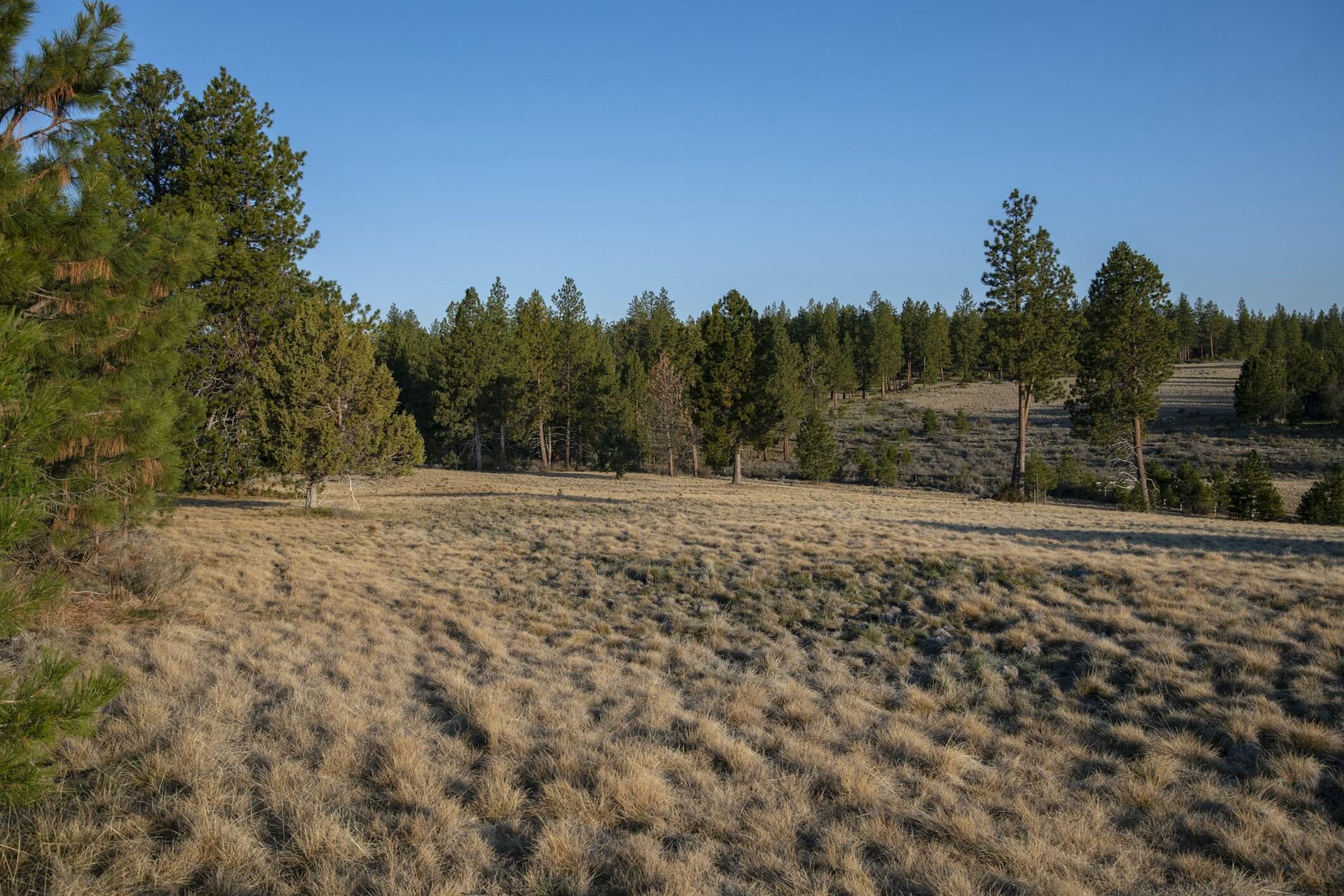 18715 Macalpine Loop, 37