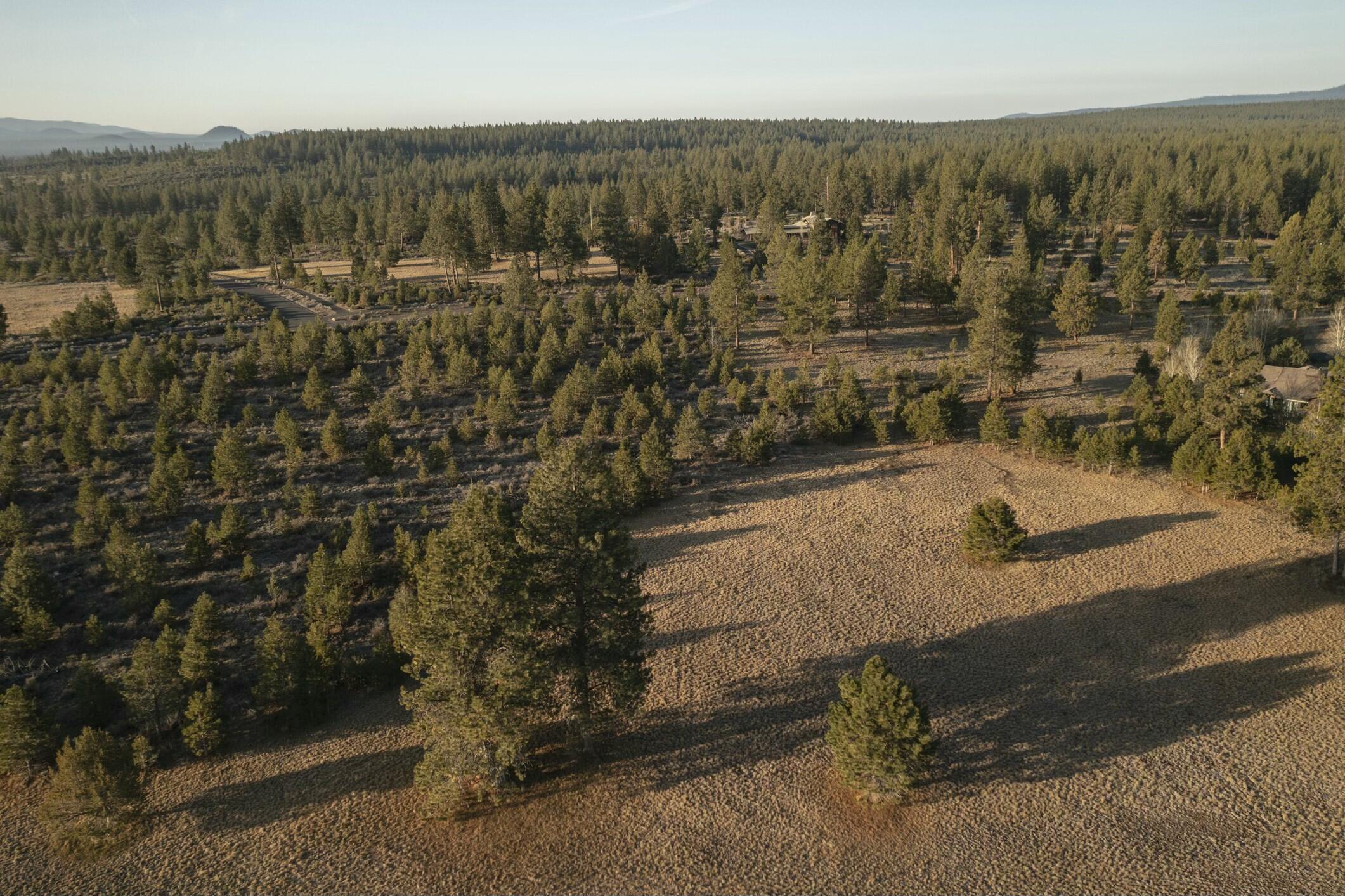 18715 Macalpine Loop, 37
