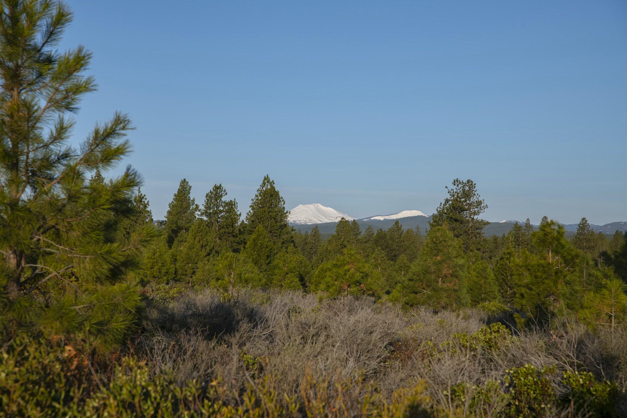 18715 Macalpine Loop, 37