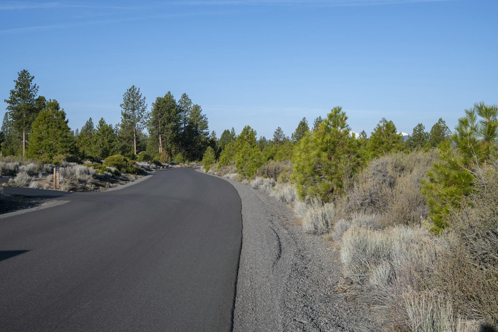 18715 Macalpine Loop, 37