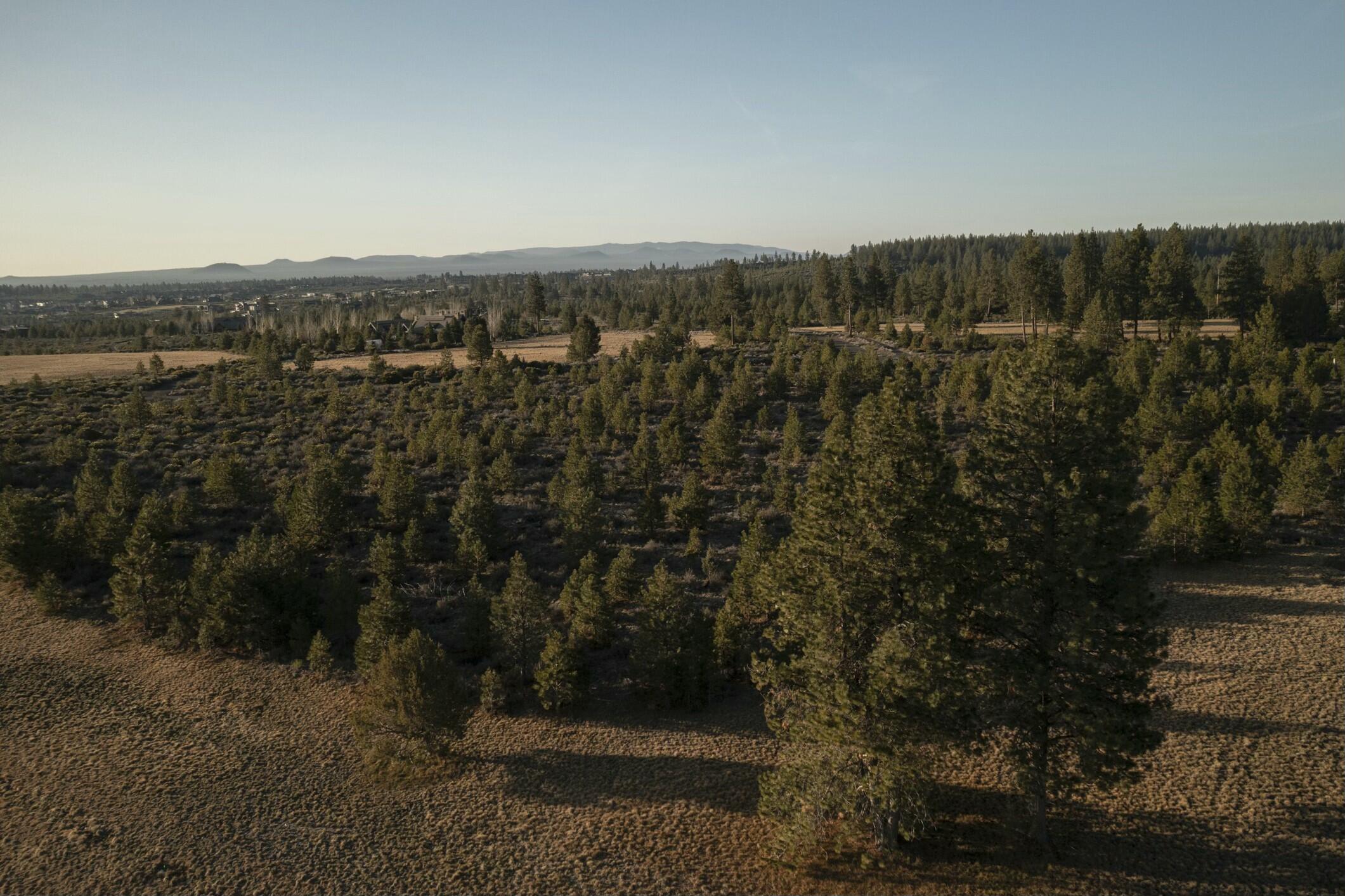 18715 Macalpine Loop, 37