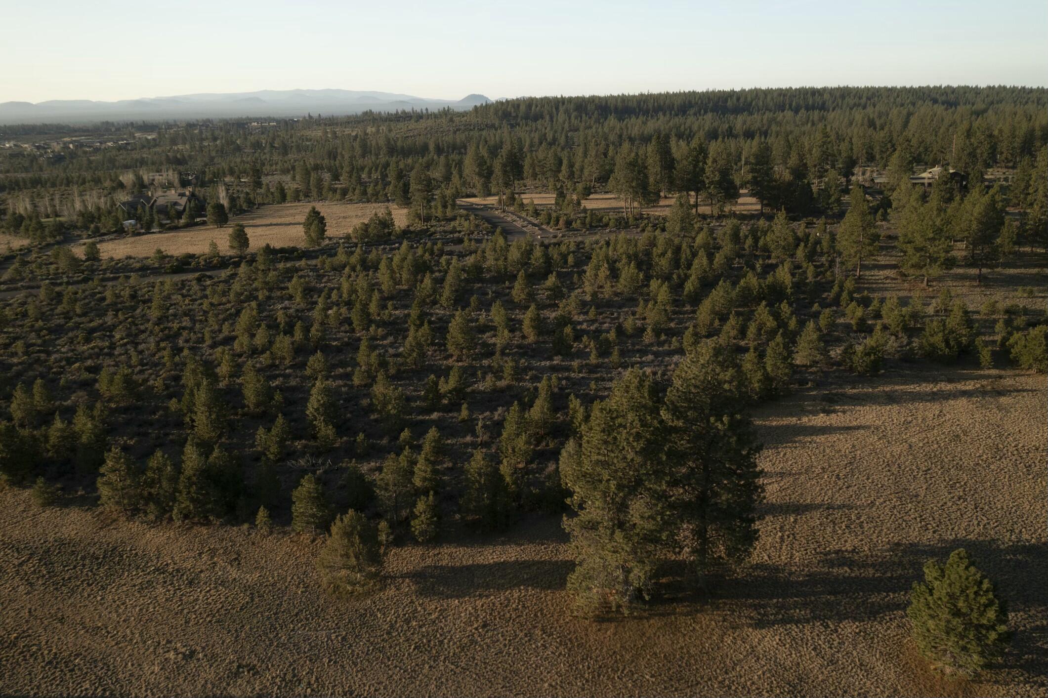 18715 Macalpine Loop, 37