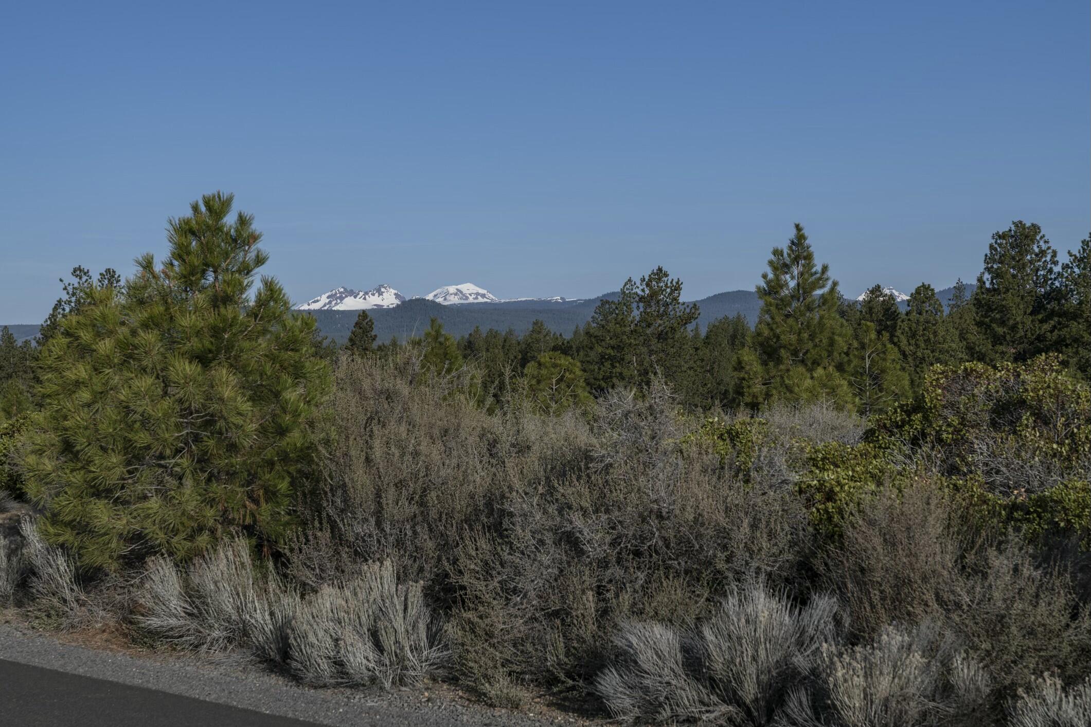 18715 Macalpine Loop, 37