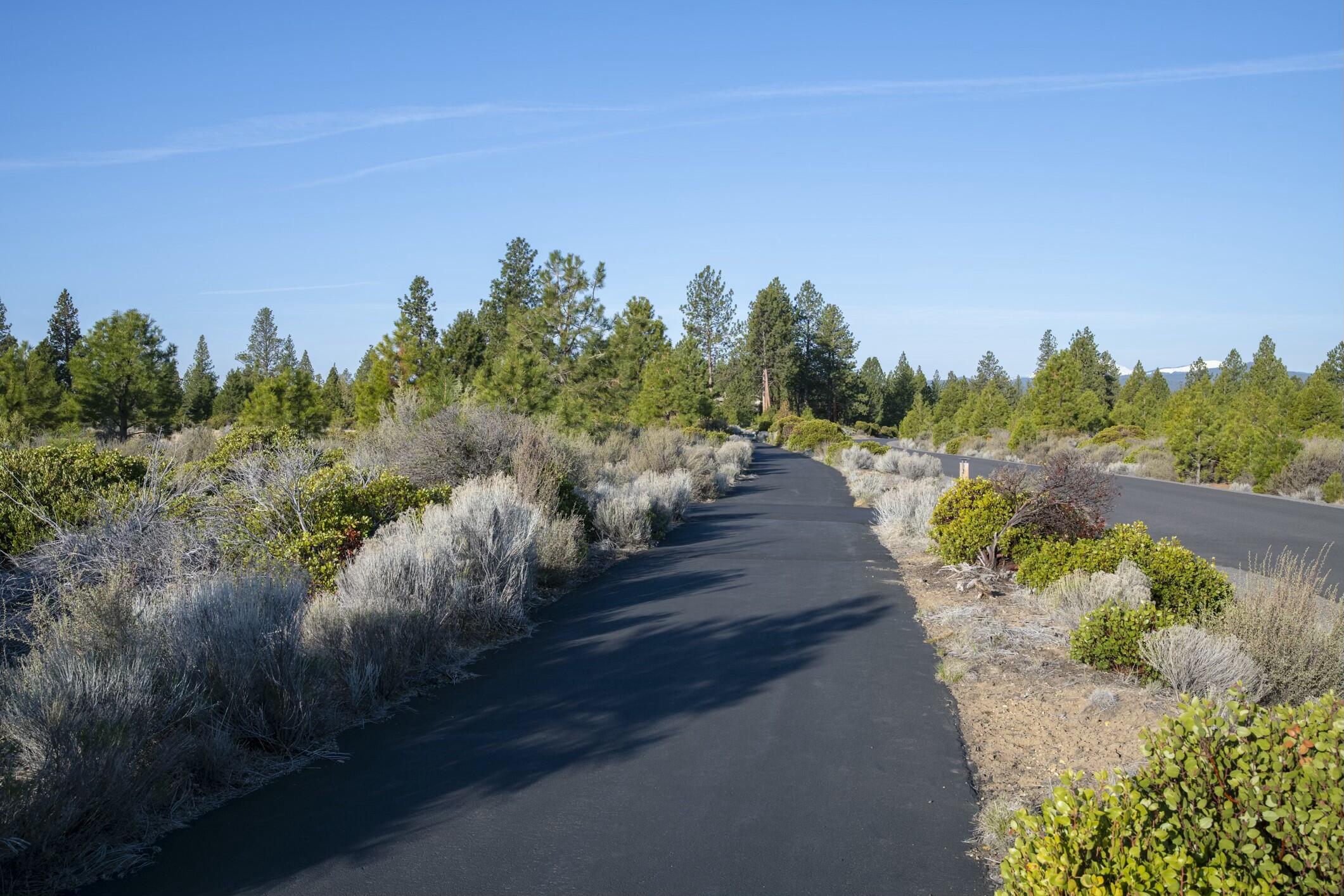 18715 Macalpine Loop, 37