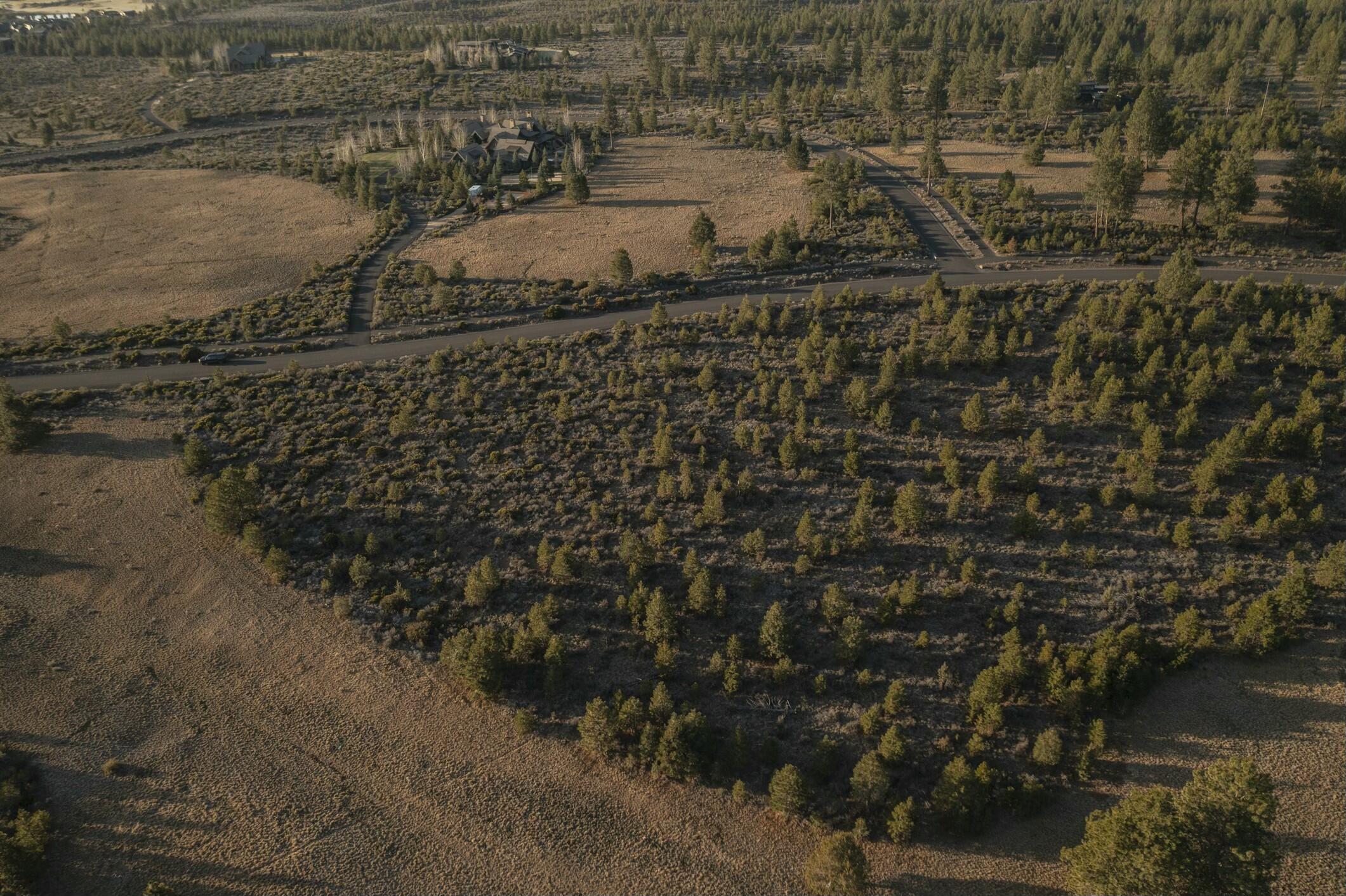 18715 Macalpine Loop, 37