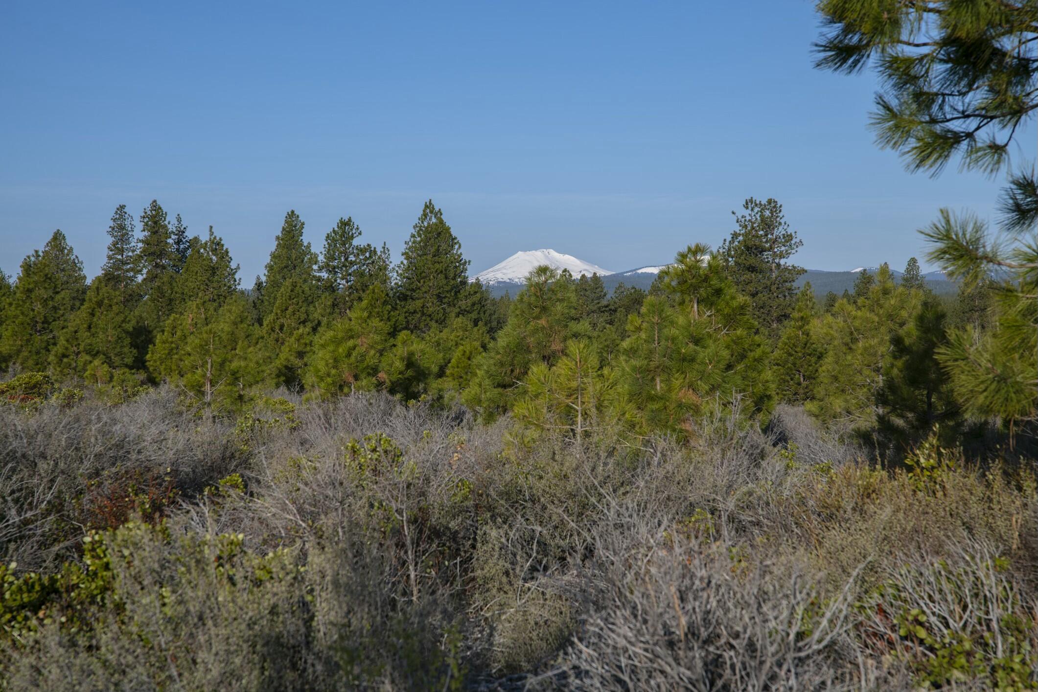 18715 Macalpine Loop, 37