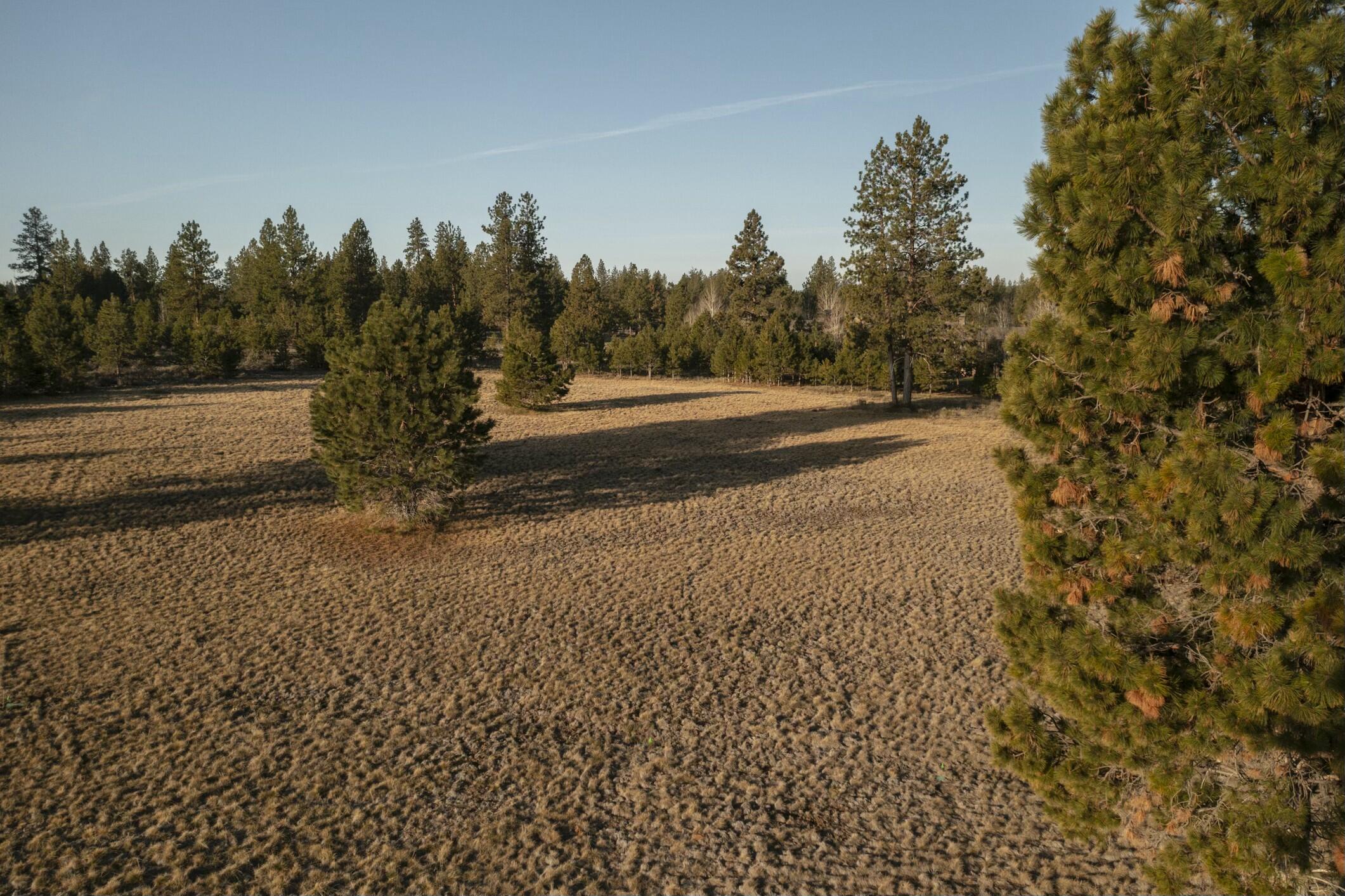 18715 Macalpine Loop, 37