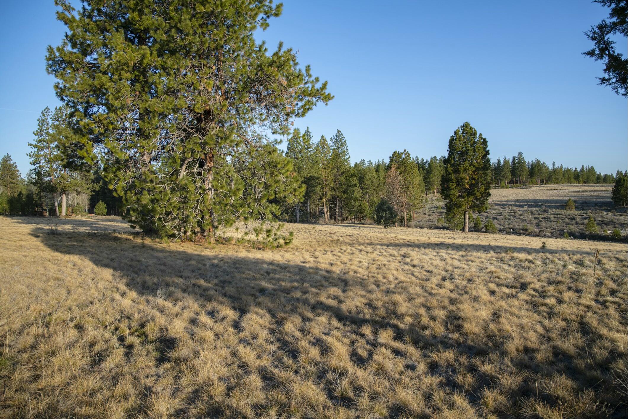 18715 Macalpine Loop, 37