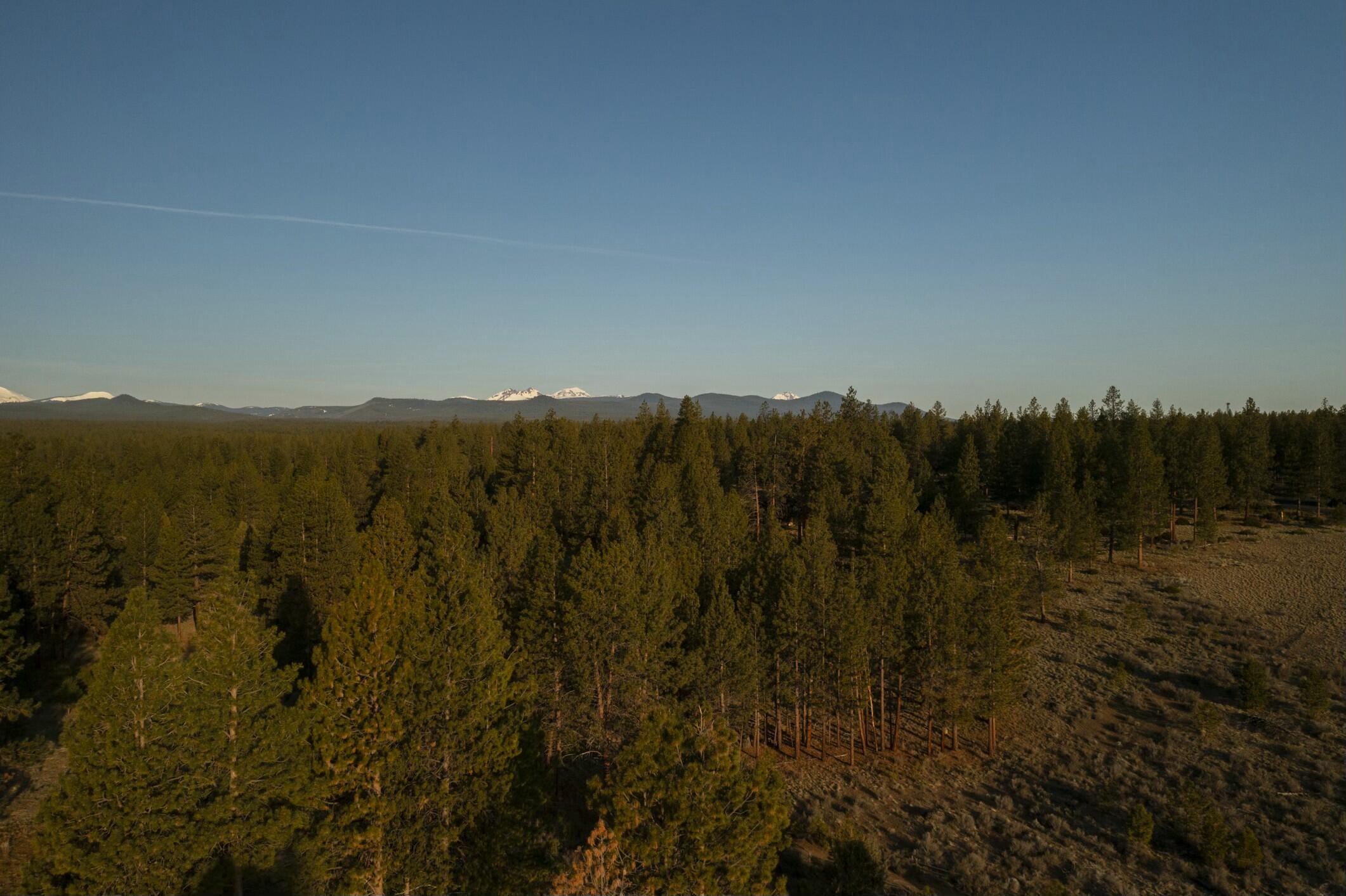 18715 Macalpine Loop, 37