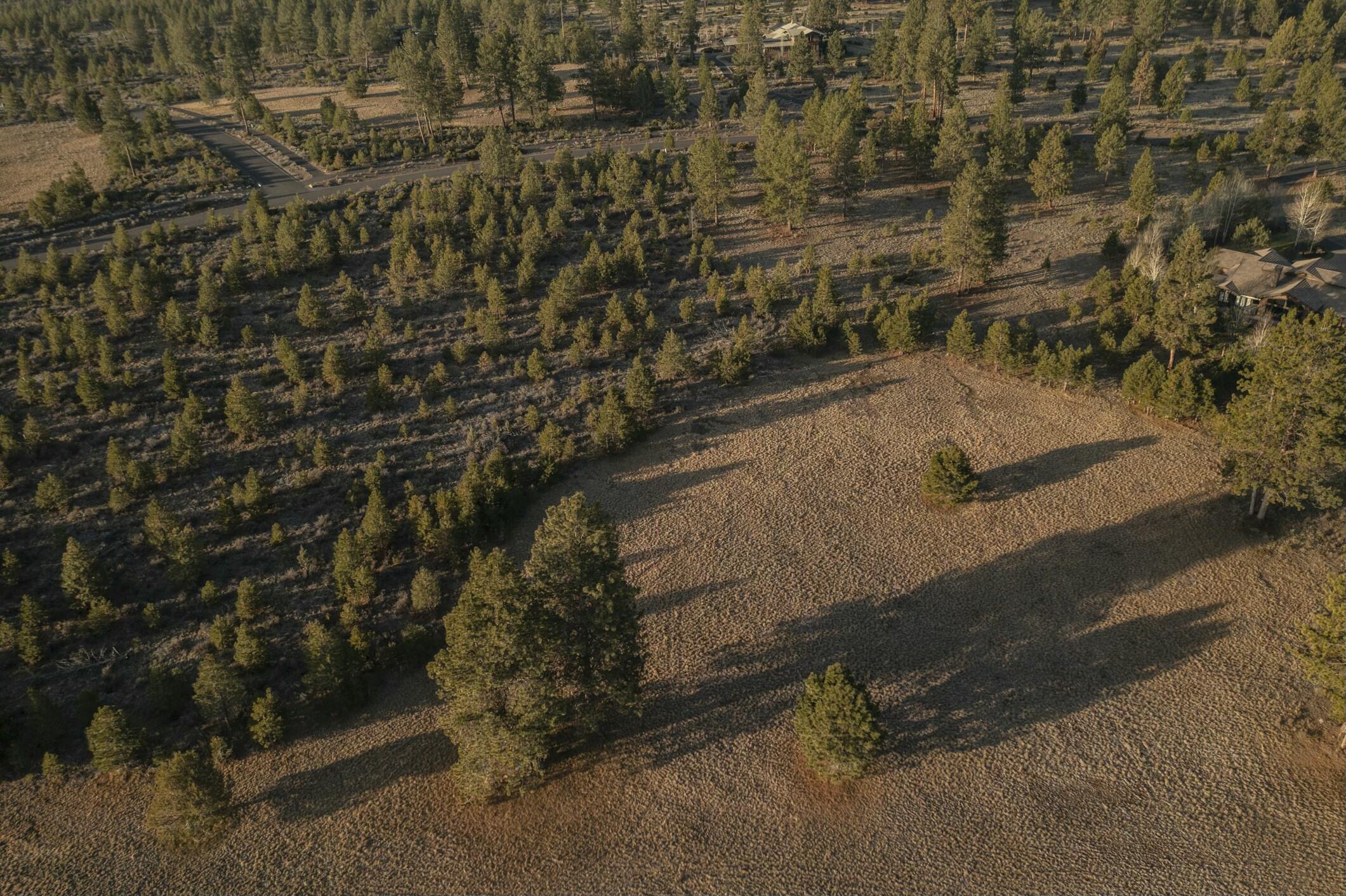 18715 Macalpine Loop, 37