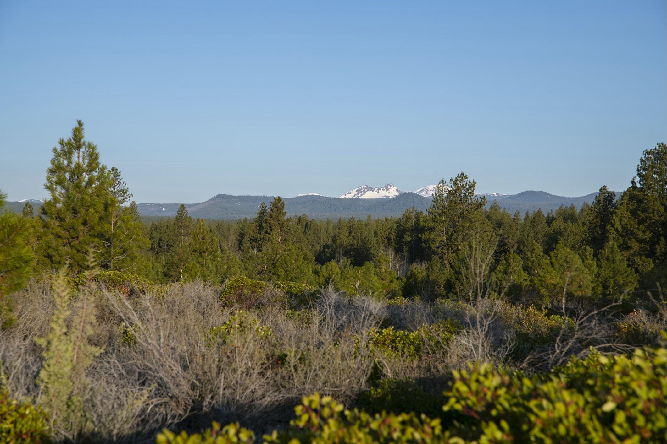 18715 Macalpine Loop, 37