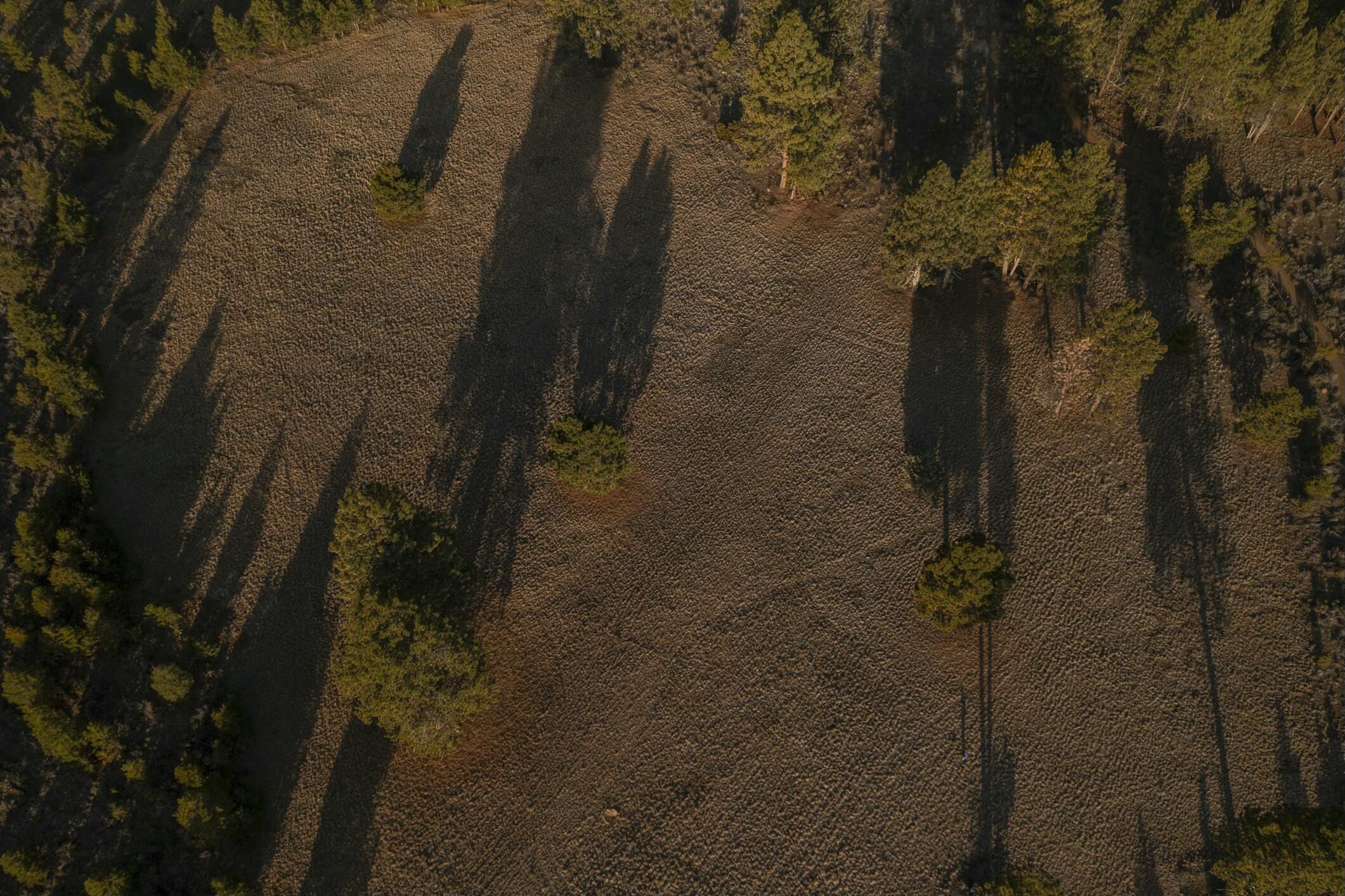18715 Macalpine Loop, 37