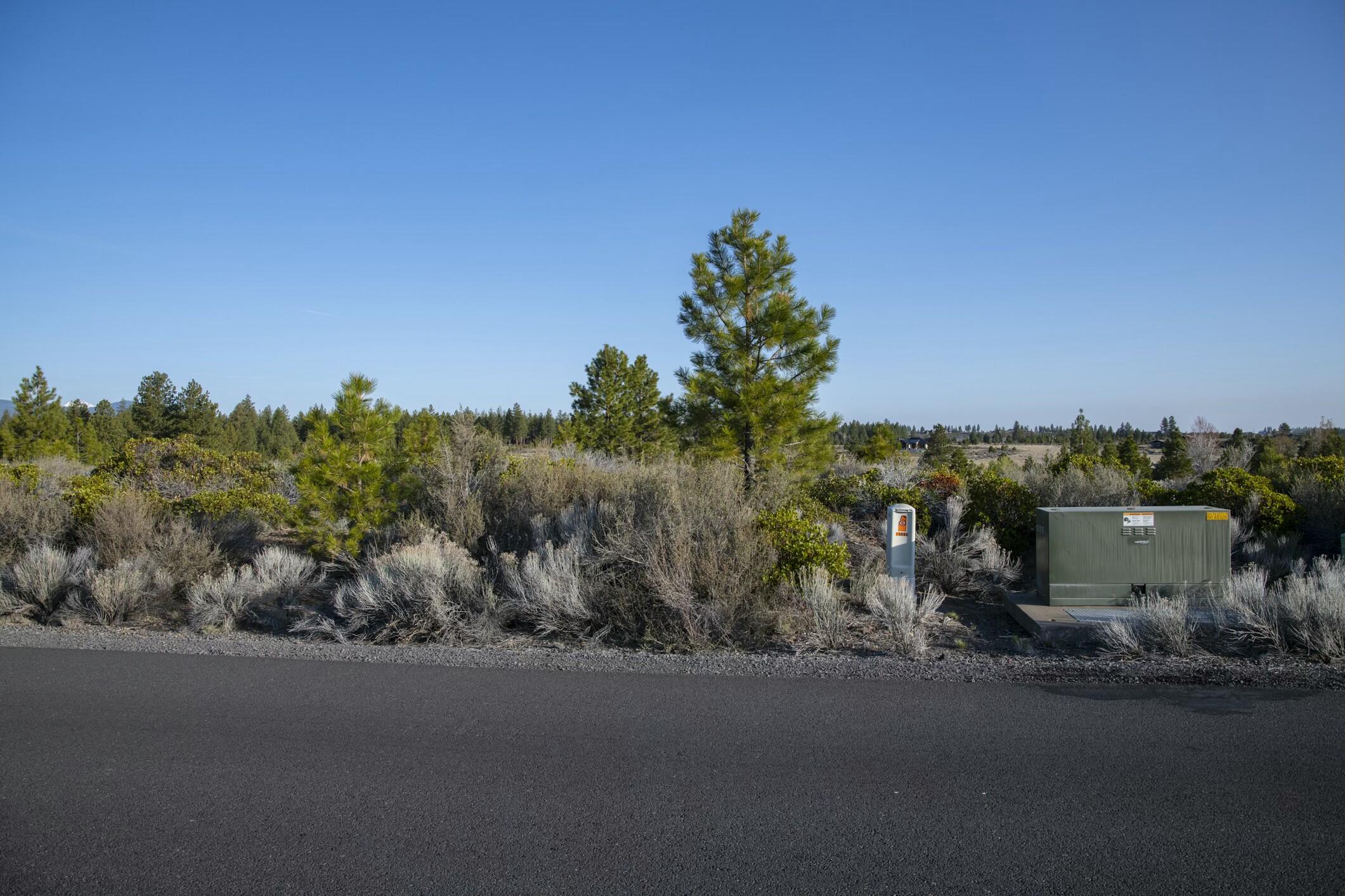 18715 Macalpine Loop, 37