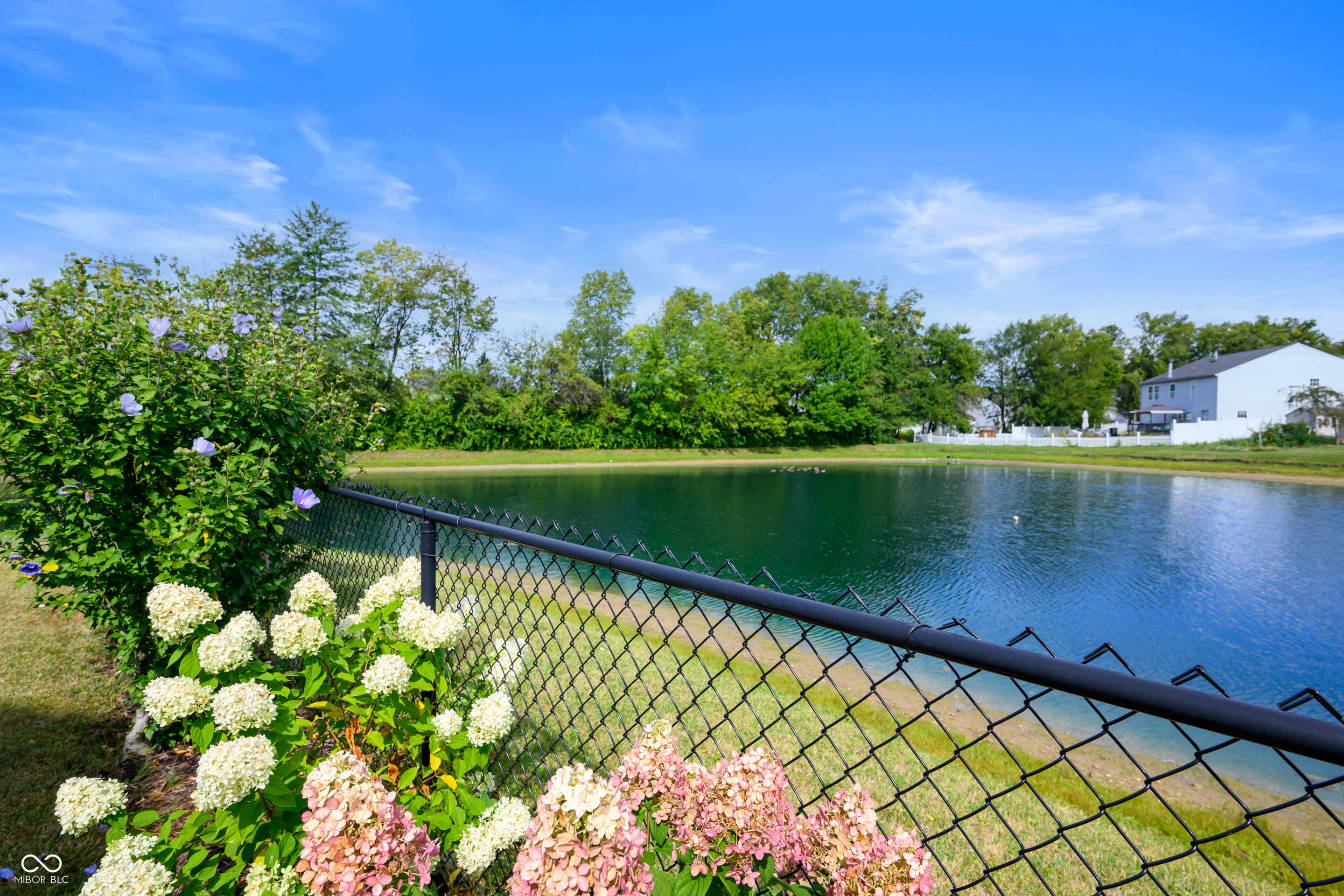 1255 Lemon Grass Court