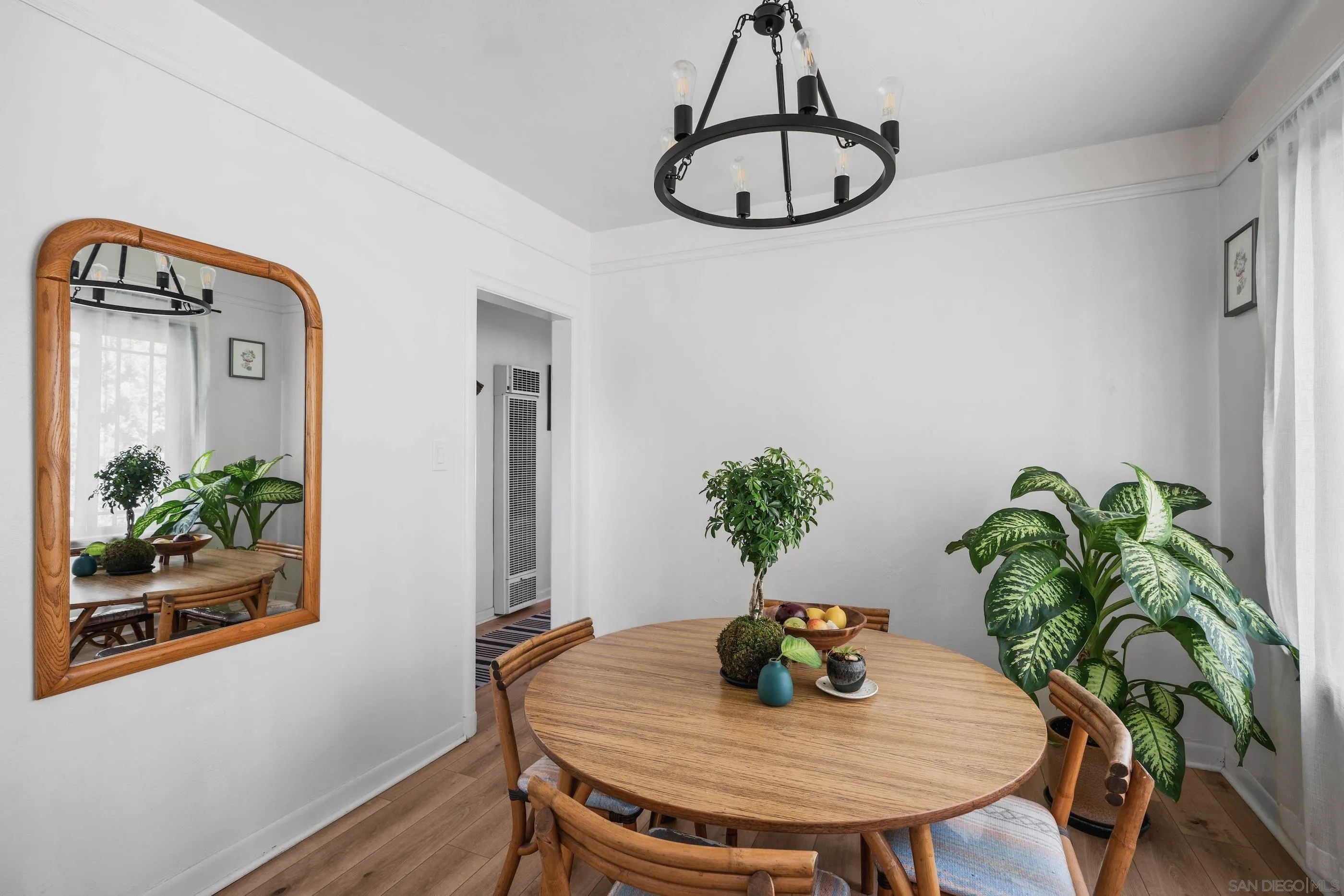 4109-4111 Ibis Street