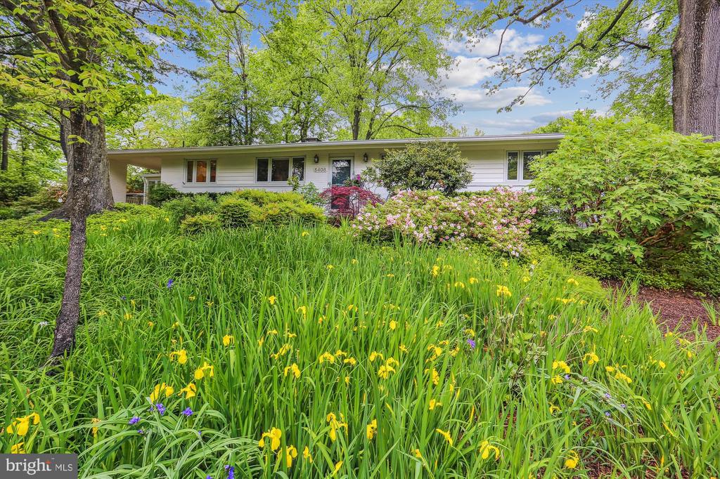 Single-story white home framed by mature trees and lush spring flowers.