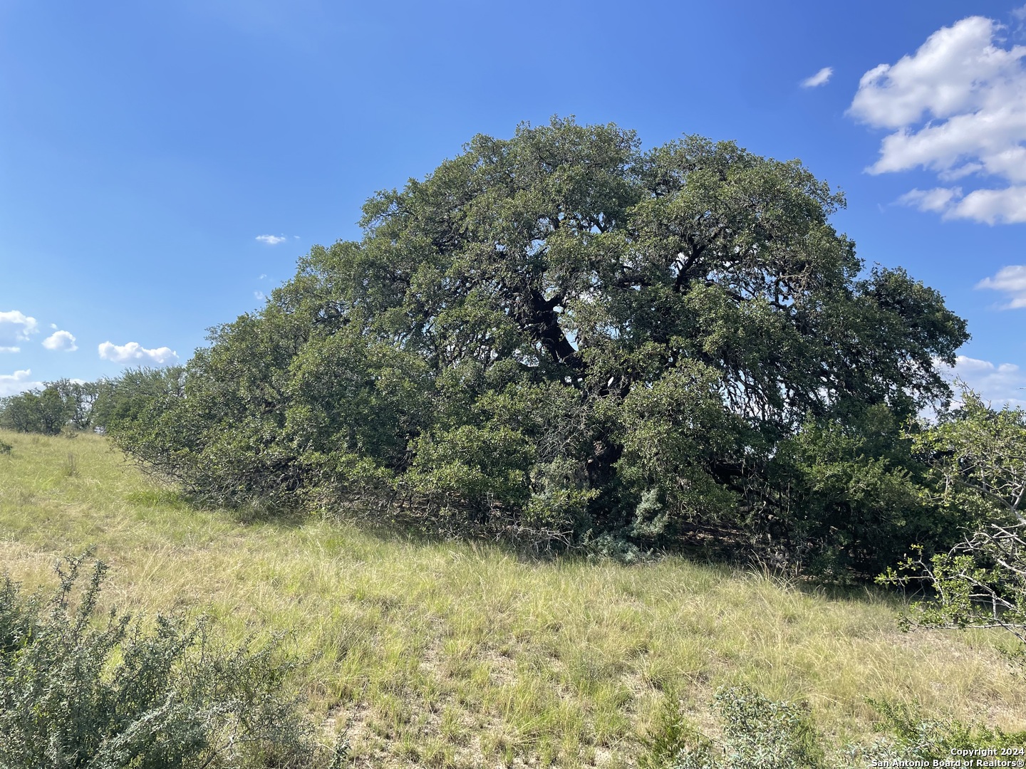 TRACT 94 Winans Creek Ranch, 10.03 Acres