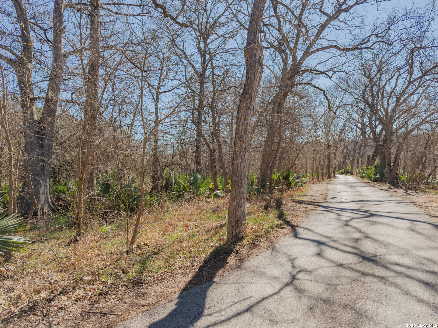 1076 Blue Bonnet Hill