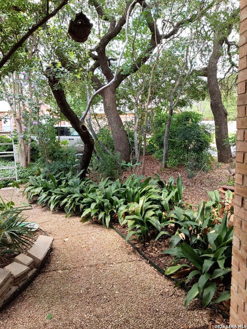 2039 Thicket Trail Dr