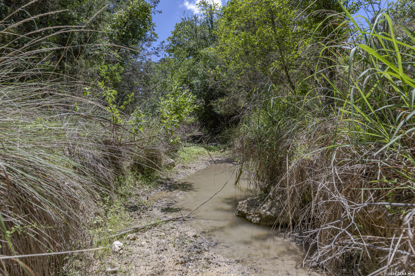 150 PLATTEN CREEK RD