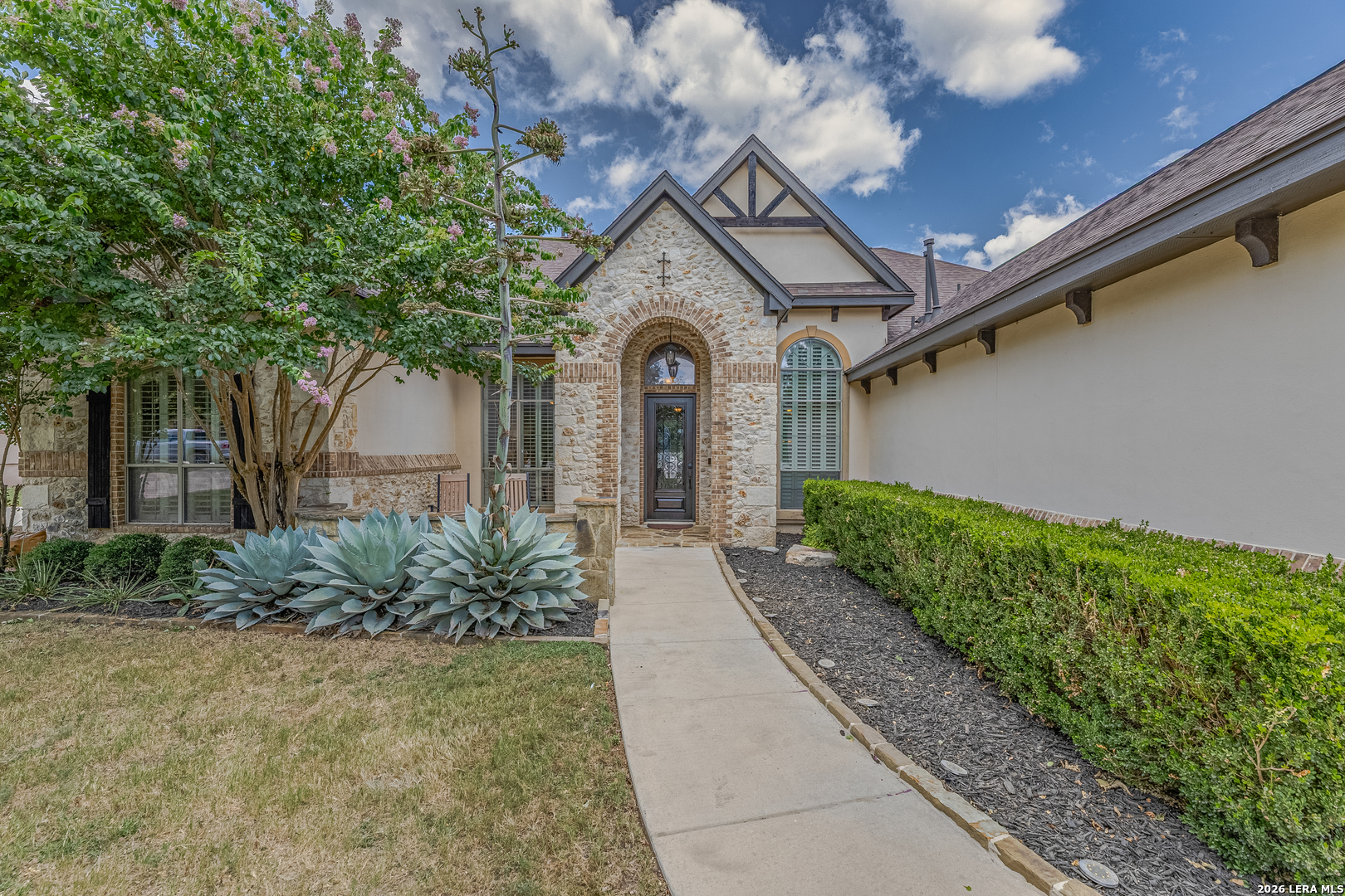 25310 Wild Sage