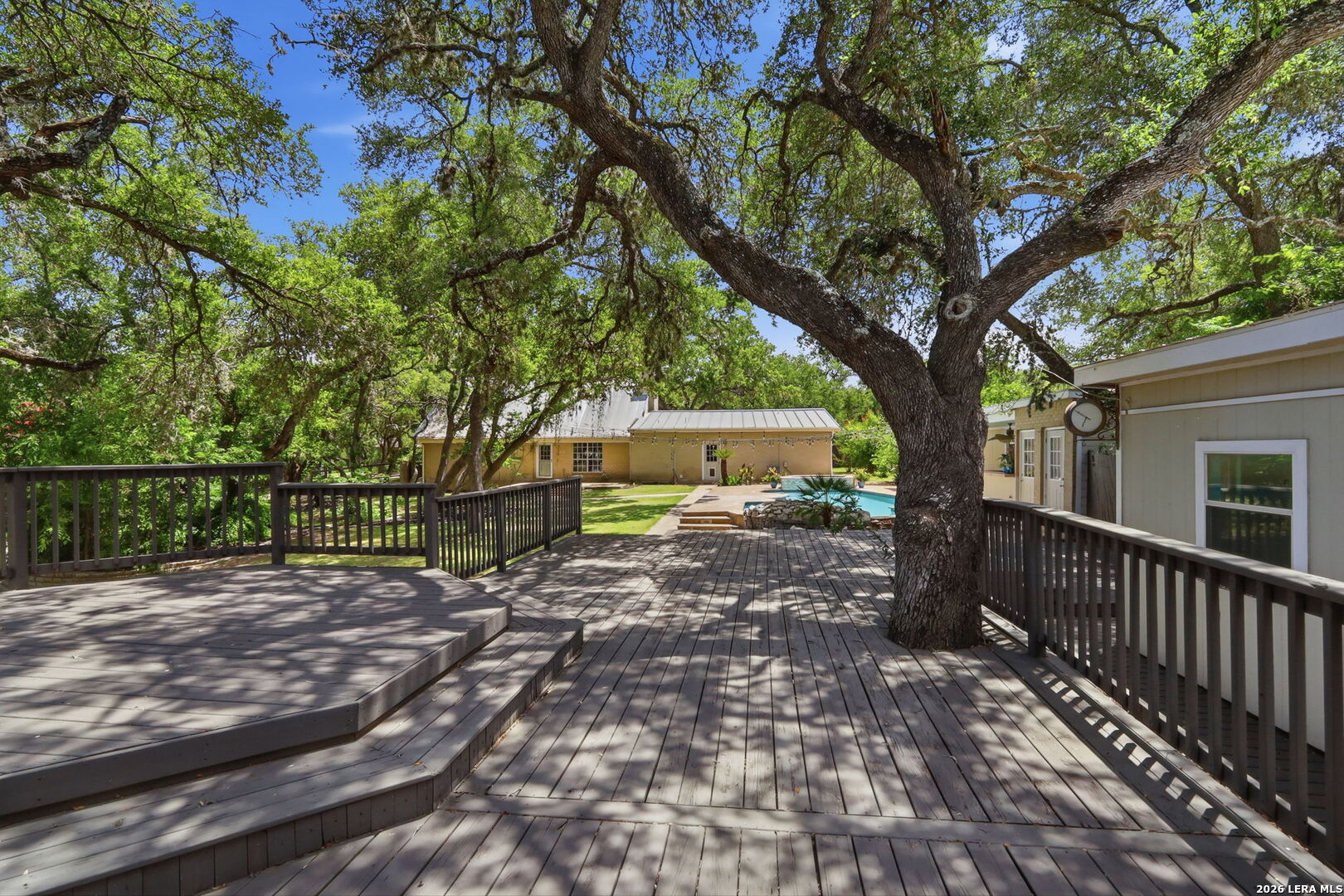 4791 Spreading Oak