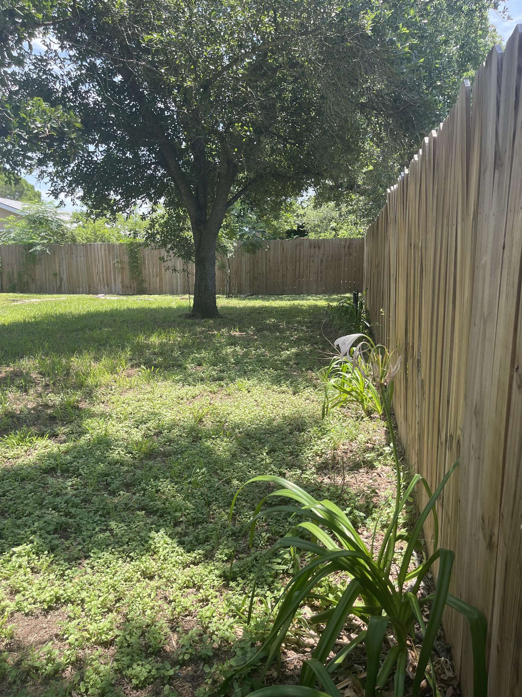 2023 Cedar Park
